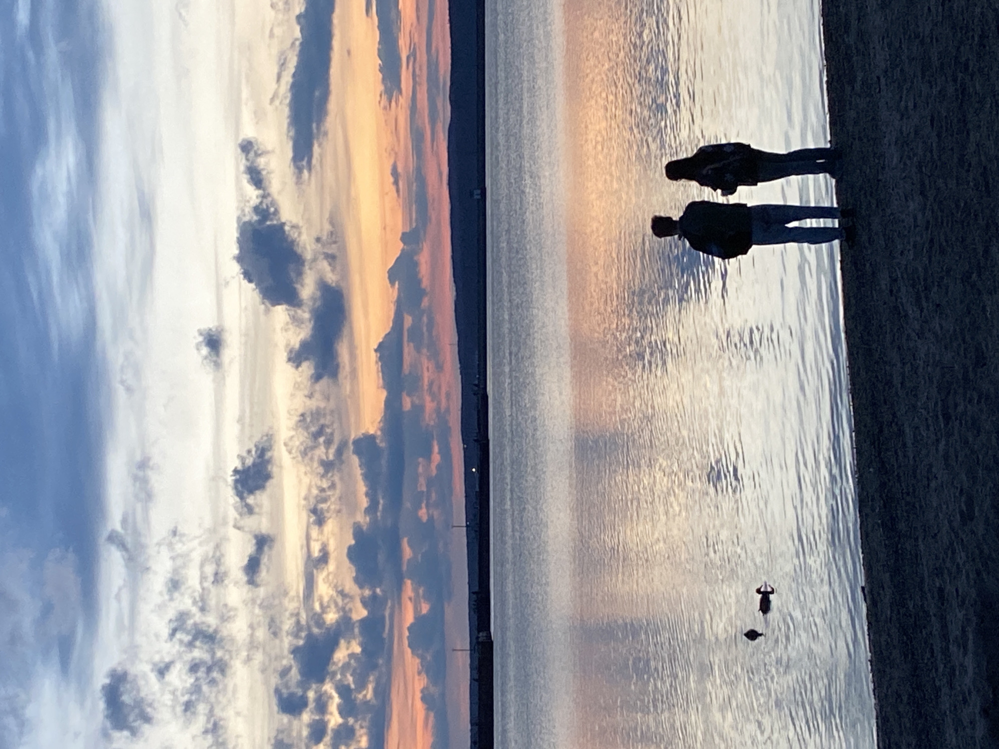 This image captures a tranquil outdoor scene at what appears to be either sunrise or sunset in Chaikovsky, Russia. The sky, occupying the upper left when corrected for orientation, displays a beautiful gradient of colors, transitioning from soft blue on the left to vibrant white, and then warm orange and pink hues towards the right. Scattered clouds, some dark and some illuminated by the low sun, punctuate the expansive sky.
A wide body of water, likely a lake or reservoir (such as the Votkinsk Reservoir on the Kama River near Chaikovsky), stretches across the middle of the frame. Its surface reflects the sky's colors and textures, creating a shimmering effect. A distinct, dark horizon line is visible in the distance, separating the water from the sky.
On the immediate right, a dark strip of land, possibly a shoreline or embankment, forms the foreground. Two human figures are silhouetted against the bright water and sky, standing on this strip of land and appearing to observe the vista. In the water, two dark ducks are visible, adding to the natural element of the scene. The low light angle and the warm tones suggest a peaceful and contemplative atmosphere. There is no visible text in the image.