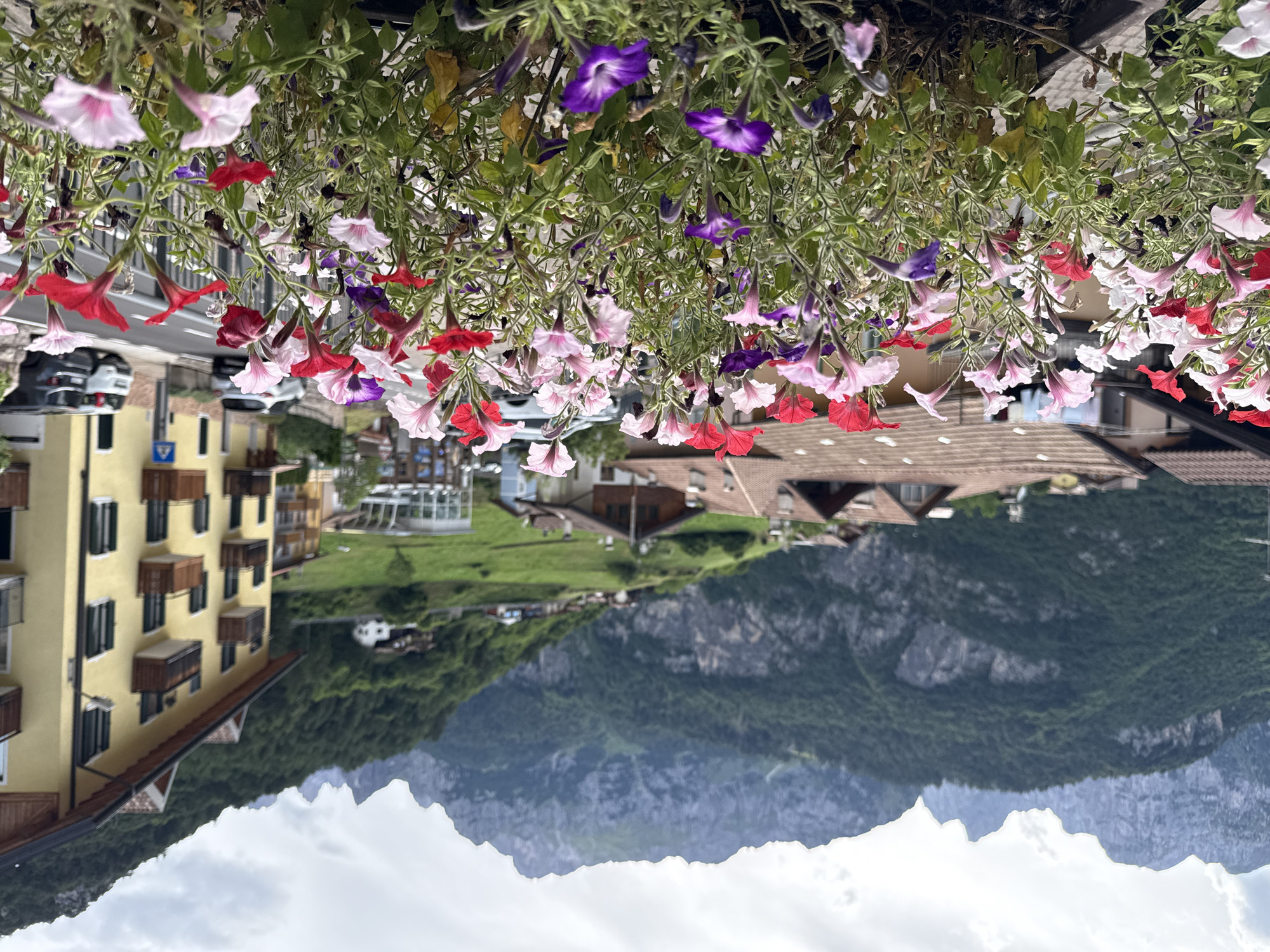 This media file depicts an upside-down, close-up view of hanging petunias in various shades of pink, red, and purple, interspersed with green foliage. Below the flowers, the scene is a town nestled against a mountain range. In the foreground, a yellow building with dark windows and small balconies is visible, typical of European architecture. To the right, more buildings with terracotta roofs are seen, as well as a patch of lush green grass. The background is dominated by the imposing, dark green slopes of a mountain, with a cloudy sky above. The orientation of the image suggests it was taken from a balcony or elevated vantage point looking downwards. The lighting indicates it is daytime, possibly late morning or afternoon, with overcast conditions. The overall impression is a charming, picturesque scene of a town in a mountainous region, with the vibrant flowers adding a decorative element to the natural landscape. No people are clearly visible. There is no discernible text in the image.