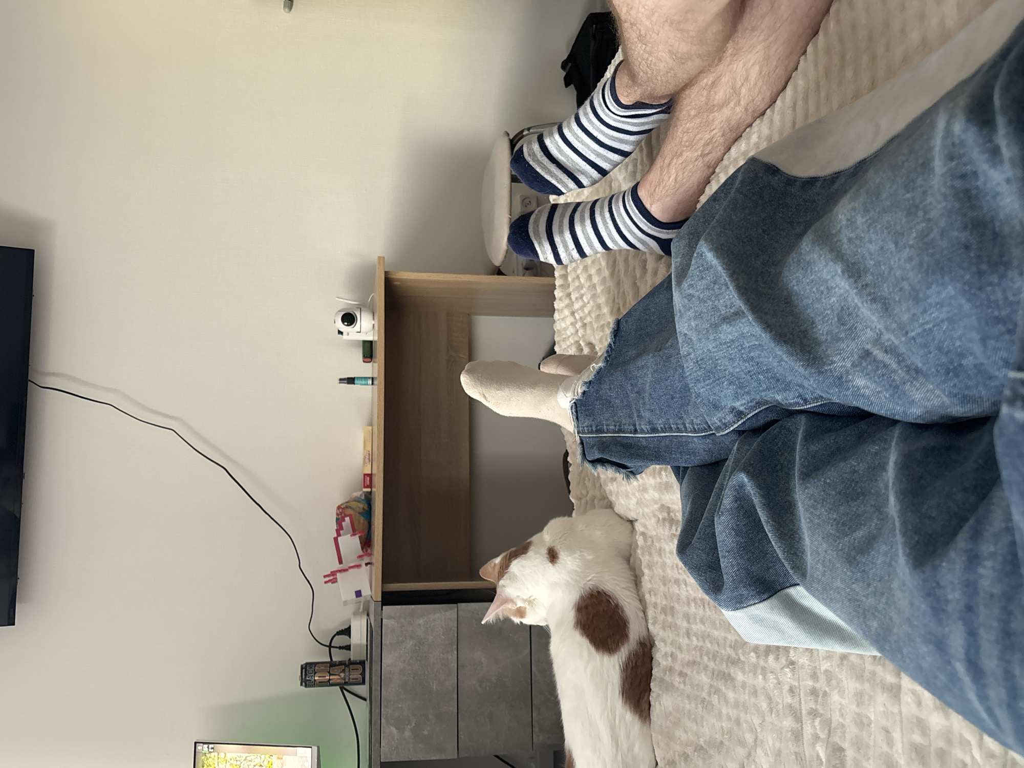 The image depicts a scene on a bed, likely in a residential setting. Two people are present. One person is wearing blue jeans and a white sock. A second person has bare legs and is wearing striped socks. A white and orange cat lies on the bed. Beside the bed is a small desk. A monitor and a security camera are also visible. The location in the city of Vsevolozhsk, Russia, cannot be determined from the image.