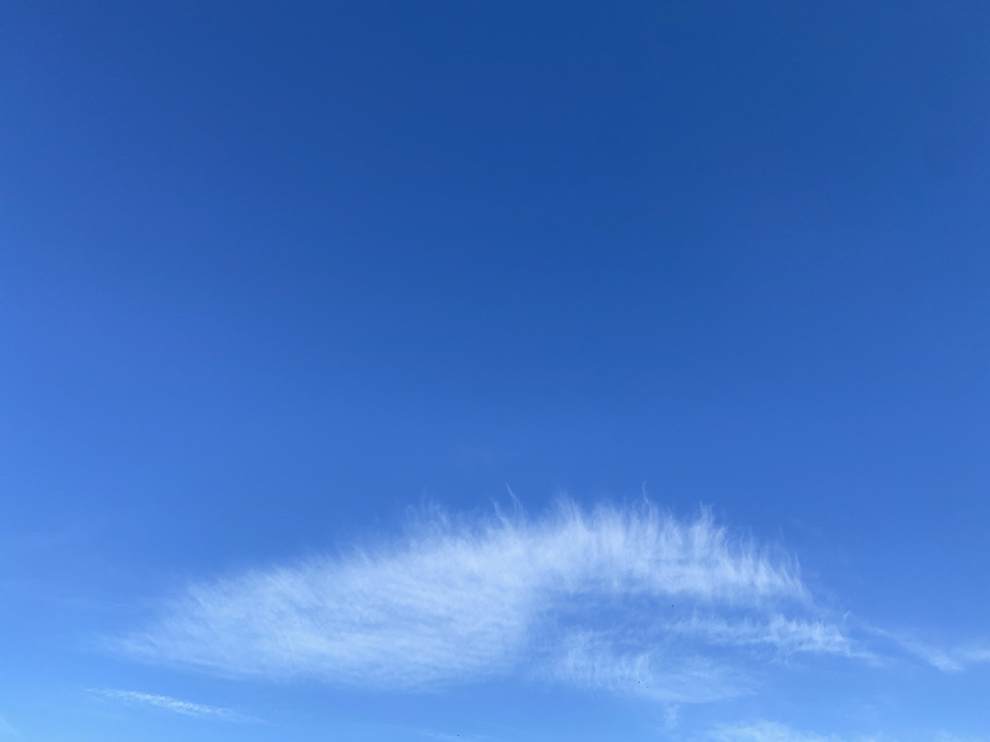 The image shows a vast expanse of clear blue sky with a wispy cloud formation stretching horizontally across the lower portion of the frame. The cloud appears thin and feathery, characteristic of cirrus clouds. There are no discernible landmarks or objects that would indicate a specific location within the city of Yekaterinburg, Russia. The scene is devoid of people, structures, or any other elements that would suggest a particular urban setting. The focus is solely on the atmospheric conditions, presenting a natural sky view.