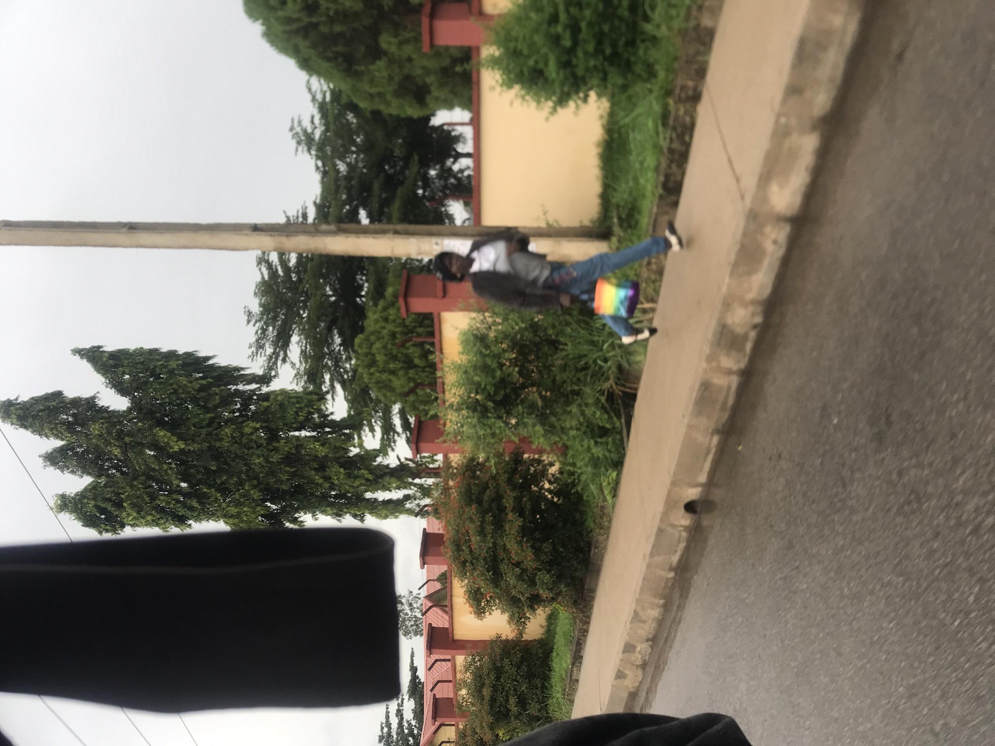 The image depicts an outdoor daytime scene at what appears to be the New Stadium area in Nigeria, captured from a slightly elevated perspective, possibly from a vehicle. A single person is walking along a concrete sidewalk, moving from left to right across the frame.
The individual, appearing young, is dressed in a light-colored top (possibly white or grey) layered under a darker jacket, blue jeans, and dark shoes with white accents. A distinctive rainbow-colored bag or satchel is carried on their left side, adding a vibrant splash of color. The person's face is not clearly visible due to motion blur or distance.
To the right of the sidewalk is a dark asphalt road, which appears damp or wet, suggesting either recent rainfall or an overcast day. To the left of the sidewalk, behind the walker, are lush green bushes and tall trees with dense foliage, indicating a well-vegetated environment. Further in the background, low-rise buildings are visible, characterized by light-colored walls (possibly beige or yellow) and reddish-brown architectural trim or roof details. A tall utility pole stands upright behind the walking figure, positioned between the sidewalk and the buildings.
The sky overhead is uniformly bright grey and overcast, indicating a cloudy day. There is no visible text in the image.