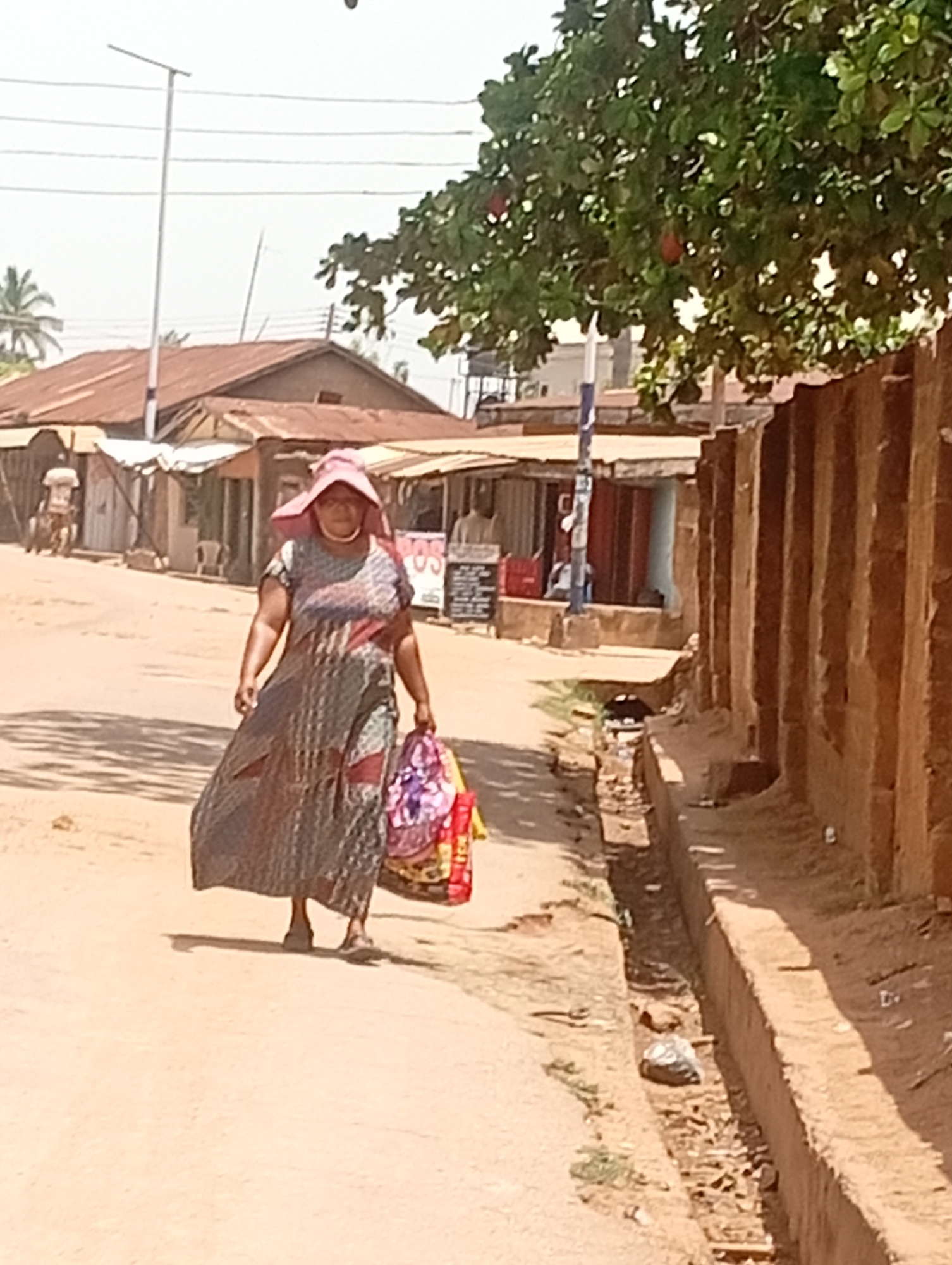 This image depicts a sunlit street scene in Sabon Tasha, Nigeria. The central figure is a woman walking towards the viewer on an unpaved dirt road. She is wearing a wide-brimmed pink sun hat and a patterned, long dress in shades of grey, brown, and red, with flip-flops on her feet. In her left hand, she carries two colorful shopping bags, one predominantly purple with floral patterns and the other yellow and red.
The time of day appears to be bright daylight, possibly mid-morning or early afternoon, indicated by the strong shadows cast on the ground. The sky is clear, suggesting sunny and warm weather.
To the woman's right, a concrete drainage ditch runs parallel to the road, containing some debris. Beyond this ditch, a textured, reddish-brown wall stands. On the left side of the road, several simple buildings or market stalls with corrugated metal roofs line the street. A tall, white pole, likely a street light or utility pole, rises into the bright sky. In the distant left background, palm trees are visible, and a person can be faintly seen near one of the buildings. On the upper right, a tree with dense green foliage and several reddish fruits (possibly cashew fruits) provides shade.
In the background on the right, near one of the stalls, a dark sign or board with some unreadable white text is visible. Further back, a red object displays the letters "SOS" in white, capital letters. The scene portrays a routine daily activity, with the woman engaged in shopping or errands within her community.