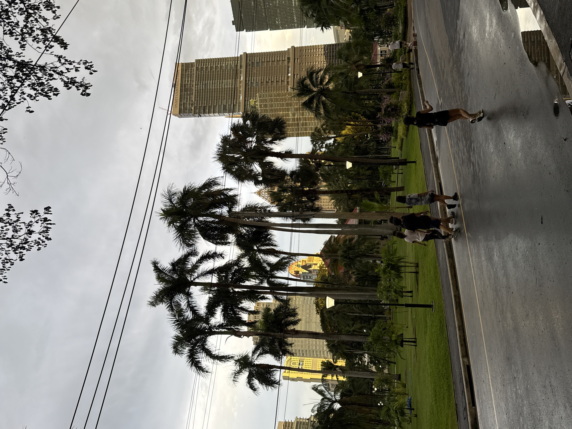 The image depicts a street scene in Bangkok, Thailand, with a focus on the urban landscape and people engaged in recreational activities. In the foreground, several individuals are seen running or jogging on a wet asphalt road, suggesting it might have recently rained or that the road is being watered. The road is lined with a green grassy area and a lush arrangement of palm trees, characteristic of a tropical environment.
In the background, towering modern buildings rise above the palm trees, indicating a blend of nature and urban development. The sky is overcast, with a muted light that suggests it could be late afternoon or early morning, or simply a cloudy day. The overall mood appears to be one of activity and urban life continuing despite the weather.
One of the buildings in the background has visible text on its facade that appears to read "DUSTII CENTRAL BANK" with additional text below it. The composition of the image, with the street running diagonally and the buildings and palm trees forming a backdrop, creates a sense of depth and perspective. The wetness of the road adds a reflective quality to the scene, enhancing the visual interest.