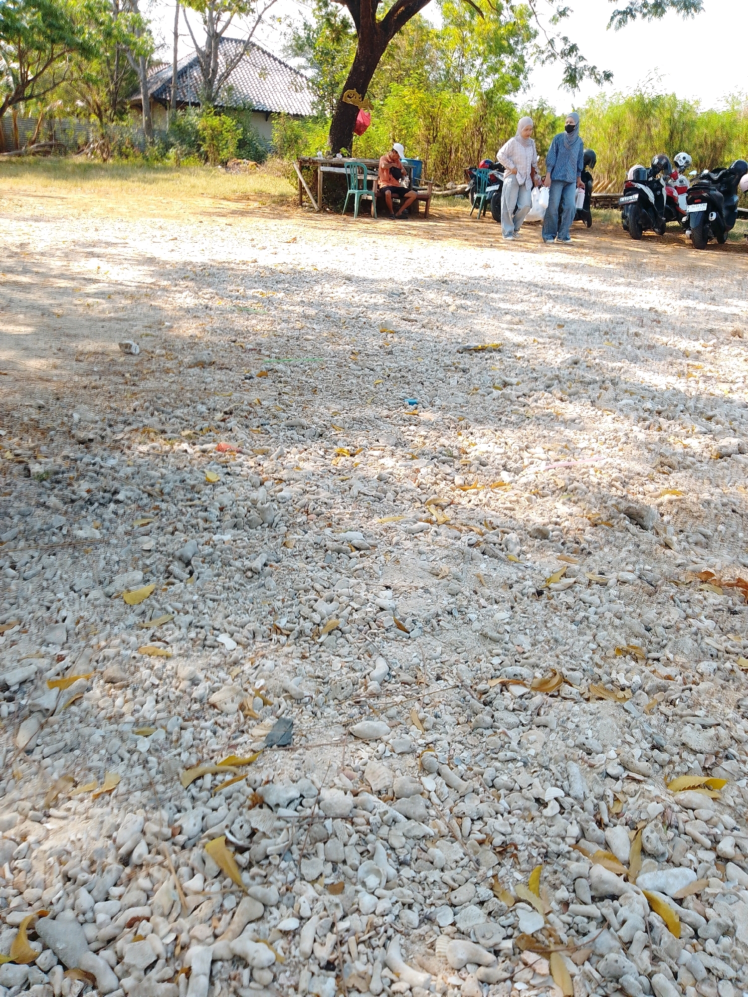 The image depicts an outdoor scene in Cikal, Indonesia. In the foreground, the ground is covered in small, light-colored stones and fallen leaves, with dappled sunlight illuminating the area. In the middle ground, there are several parked motorcycles, some with helmets on them. Two individuals, appearing to be women wearing hijabs and loose-fitting clothing, are walking away from the motorcycles towards the background. To the left of the motorcycles, there is a wooden table and chairs set up under a large tree. Two people are seated at the table. In the background, a building with a tiled roof and trees surround the area. The overall environment suggests a rural or semi-rural setting.