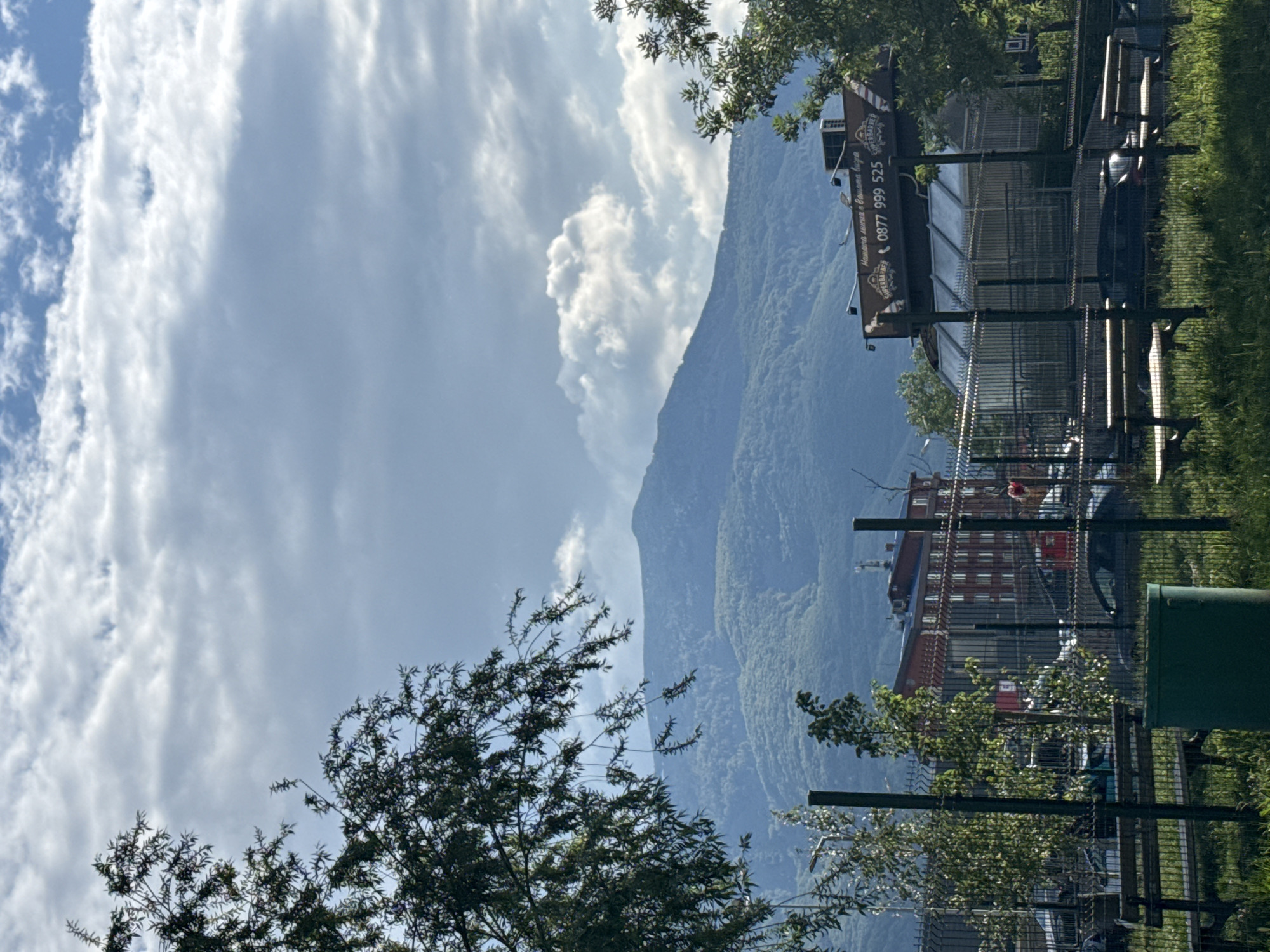 The image captures a scene with a mountain as the backdrop, partially obscured by clouds. The foreground contains trees and a structure appearing to be a bus stop, featuring advertising signage. The background reveals buildings with red roofs, possibly indicating a residential area. Based on these features, and the reference to the 0877 phone number on the bus shelter, the image appears to be taken near the mountain of Vitosha, outside of Sofia, Bulgaria.