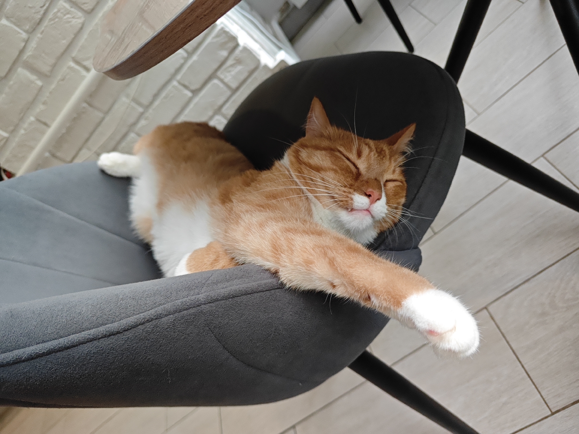 A ginger and white cat is sleeping on a grey upholstered chair. The cat is lying on its side with its legs stretched out and its eyes closed. One of its front paws is extended outwards, resting on the edge of the chair. The background shows a white brick wall and light-colored wooden floor tiles, indicating an indoor setting that could be a home or a cafe in Боровский, Russia. The lighting is soft, suggesting it might be daytime.
