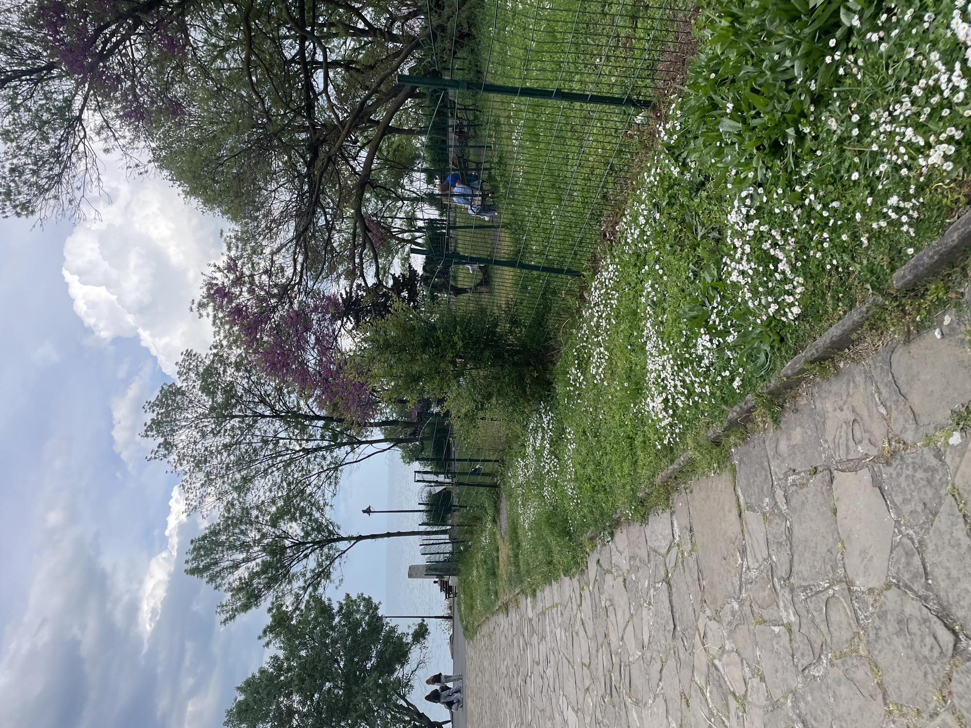 The image depicts a cobblestone pathway adjacent to a grassy area filled with small white flowers. A green chain-link fence separates the grassy area from a park or garden setting with trees and benches where people can be seen sitting. In the background, there's a view of the sea under a partly cloudy sky. The location is likely in Burgas, Bulgaria, given that the prompt specifies this city. Two people can be seen walking on the pathway. There are lamp posts visible along the water's edge.