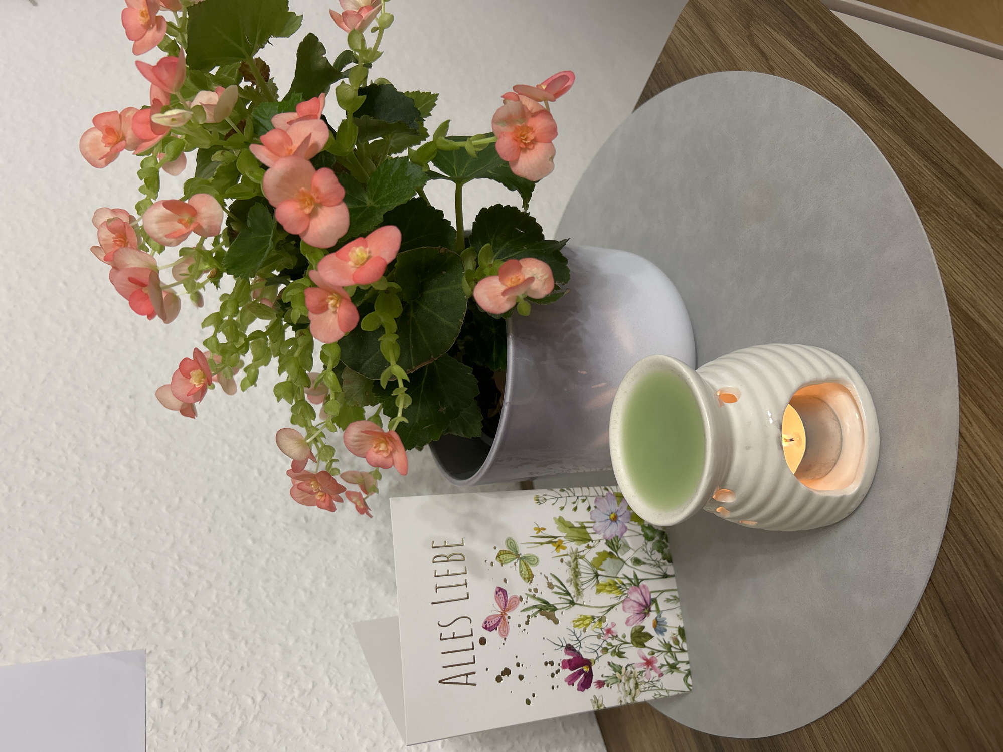 The image depicts a close-up, eye-level view of a decorative arrangement on a wooden surface, likely in a home or office setting. The background features a textured white wall.
The primary subjects are a potted plant with numerous small, delicate pink begonia flowers and green leaves, a greeting card, and an oil diffuser with a lit candle. The plant is in a light gray, bulbous pot. The greeting card, positioned to the left of the plant, is white and features a floral illustration with butterflies and the text "ALLES LIEBE" in a rose-gold font. To the right of the card and in front of the plant sits a white ceramic oil diffuser. The diffuser has a ribbed design and is emitting a soft orange glow from the lit candle inside. A shallow dish on top of the diffuser contains a pale green liquid, presumably essential oil or wax.
The objects are arranged on a round, light gray mat that is placed on a wooden surface. The wooden surface appears to be part of a piece of furniture with a white drawer or door visible on the right side.
The lighting is soft and warm, highlighting the candle flame and the colors of the flowers. The overall impression is one of a serene and thoughtful display. There is no indication of the specific location within Velbert, Germany, beyond the assumption of a domestic or commercial indoor space.