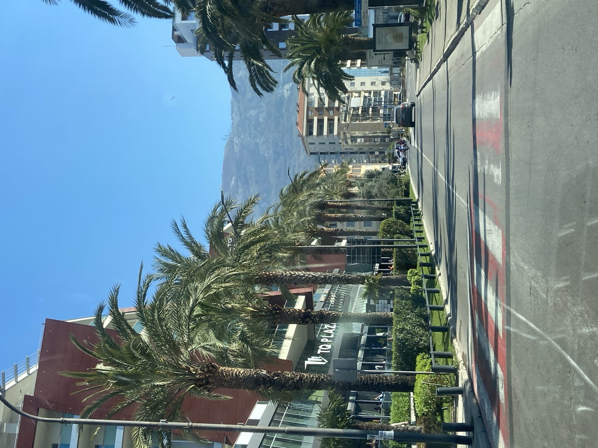 The image shows a street in Budva, Montenegro, lined with palm trees and modern buildings. TQ Plaza building is visible among the palm trees. The road has painted red and white stripes and a black car is driving in the distance. In the background, a mountain is visible under a clear blue sky. The picture is taken during the day, likely in sunny weather.