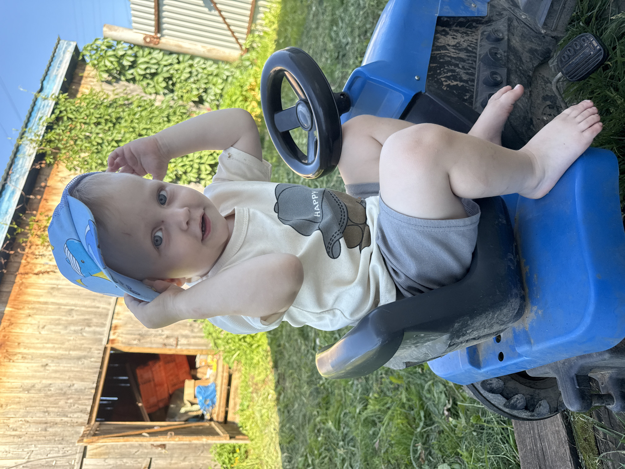 In the village of Lyalshur, Russia, a young Caucasian child with blue eyes sits on a blue toy tractor. The child wears a light-colored t-shirt with a teddy bear graphic and the word "HAPPY" printed on it, gray shorts, and a blue baseball cap with a whale pattern. The child is holding the brim of the cap with their right hand. The toy tractor is parked on grass next to a wooden structure that appears to be a shed or outbuilding. The shed has an open doorway, and inside, there are some orange objects and blue plastic sheeting. The background shows overgrown green foliage climbing a wooden wall and a section of a corrugated metal fence. The scene is illuminated by bright sunlight, casting shadows.