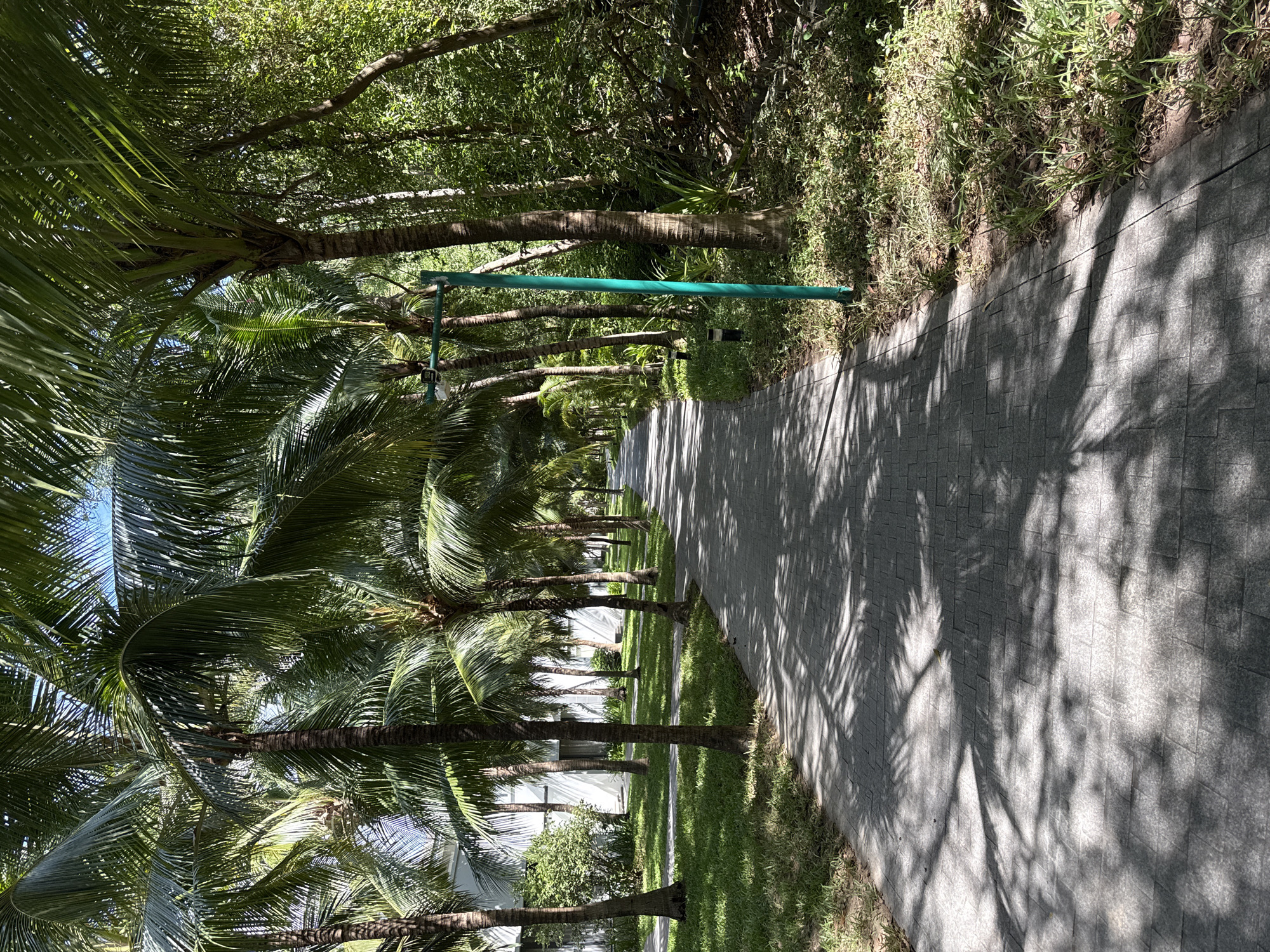 The image shows a paved pathway lined with palm trees on the left and dense vegetation on the right. The pathway curves into the distance, shaded by the palm fronds. A bright green pole with lights is visible on the right side of the path. In the background on the left, a modern white building with windows is partially visible. The ground is covered with grass on the left and a mix of grass and foliage on the right. The pathway is paved with grey interlocking stones. The scene appears to be a resort or a park area.