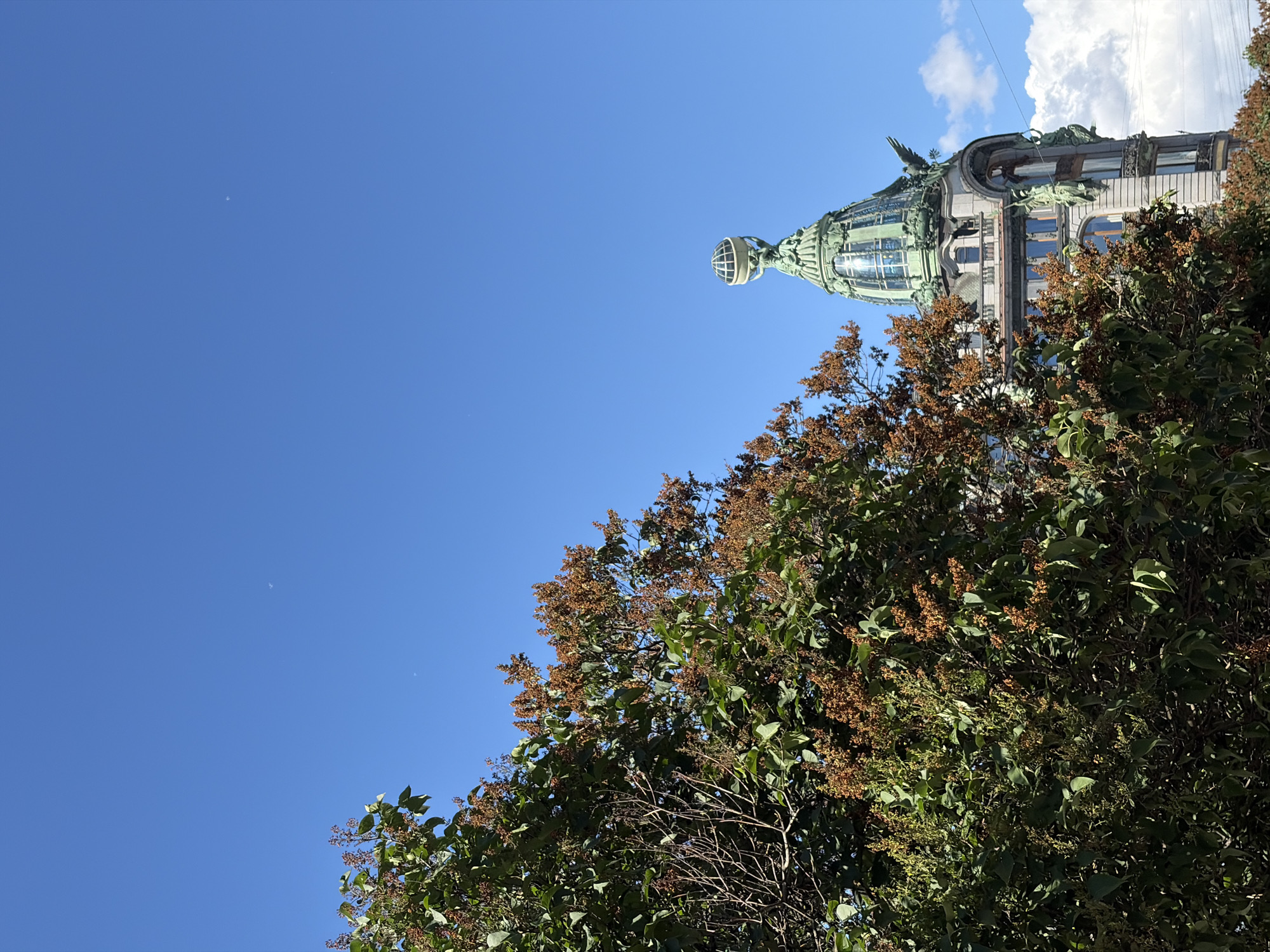 This media file is a low-angle shot of a building with a distinct green, ornate dome, partially obscured by lush green foliage in the foreground. The building appears to be historic, with architectural details such as decorative sculptures on the roofline and arched windows. The dome is spherical and made of glass panels set within a green metal frame. The sky above is a clear, bright blue with a few fluffy white clouds on the right side of the frame. A crescent moon is faintly visible in the upper left portion of the sky. The foliage in the foreground is dense and leafy, with some branches laden with small brown clusters, possibly dried flowers or seed pods. The lighting suggests it is daytime, likely morning or early afternoon, given the bright sunlight. The image conveys a sense of architectural beauty and natural growth, set against a clear sky. The location is identified as Saint Petersburg, Russia. There is no visible text in the media file.