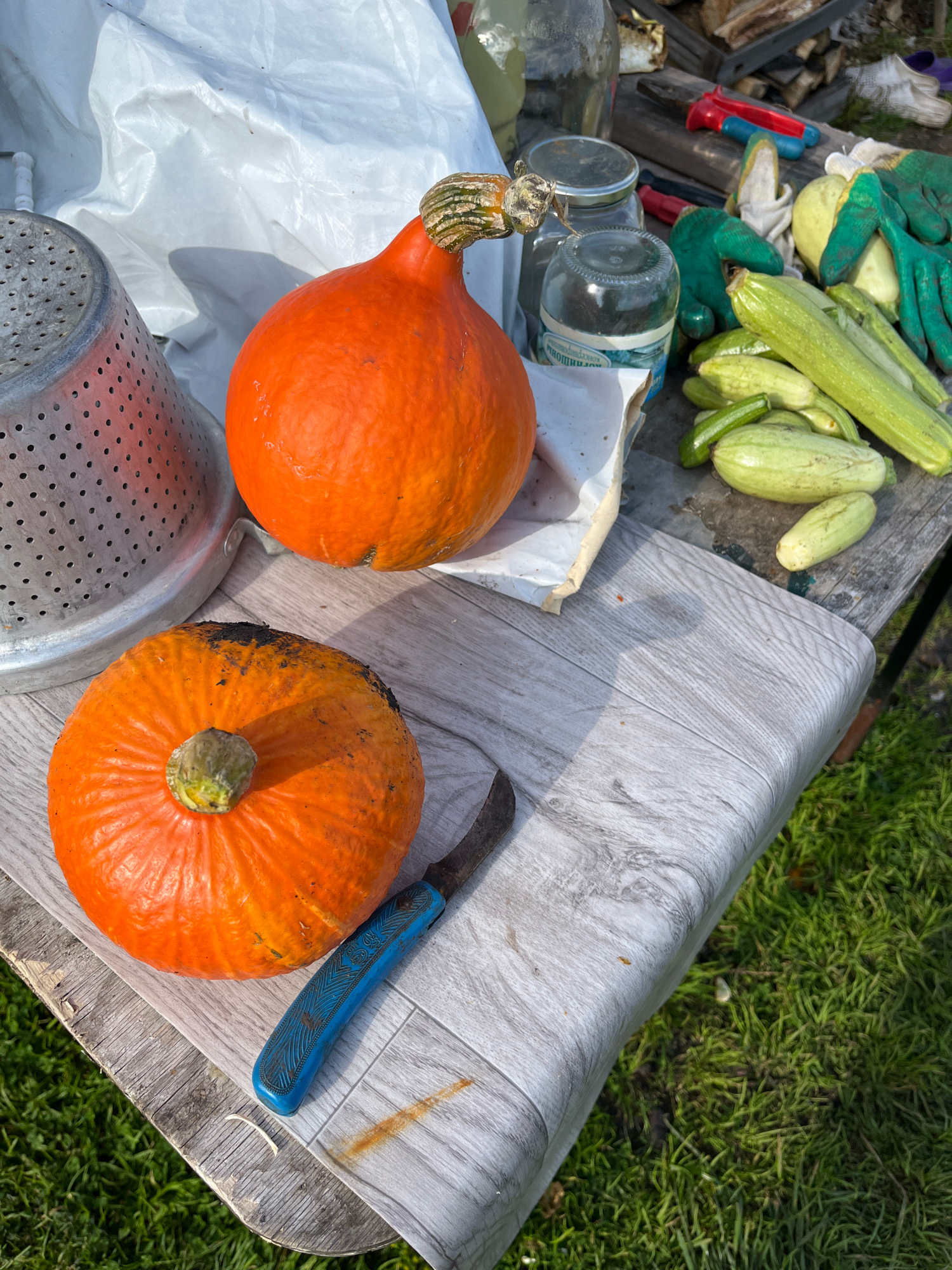 Two orange pumpkins, a metal colander, and a blue-handled knife are on a wooden table. Several zucchini and two glass jars are also on the table. In the background, a white tarp is visible, as well as gardening gloves and some firewood. The table appears to be outdoors, with grass visible in the foreground and background. The scene is likely in a backyard or garden area, possibly in the city of Beryozovsky, Russia, given the context provided.