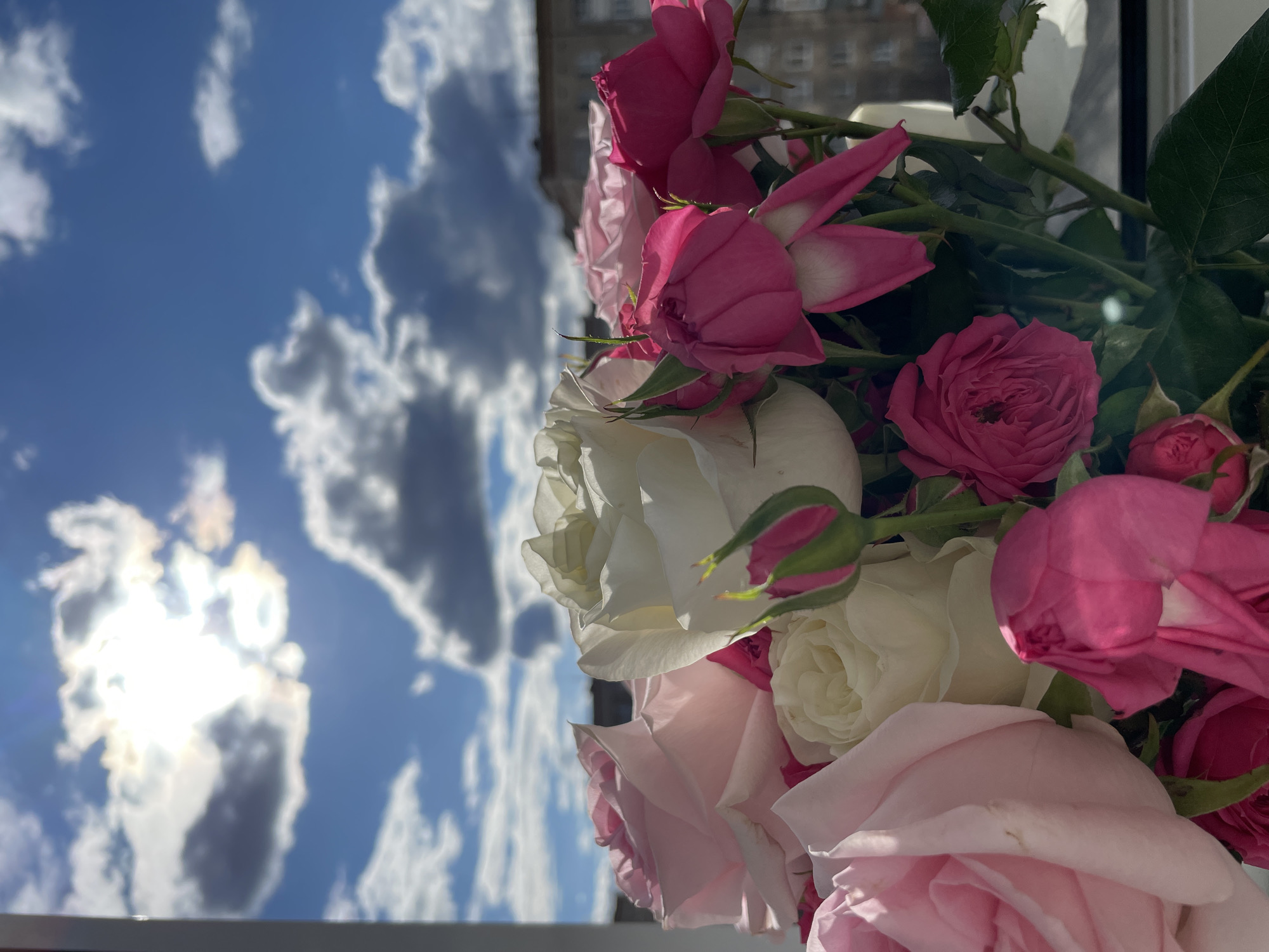 The image displays a vibrant bouquet of roses set against a bright, cloudy sky. The photograph is oriented vertically, with the sky dominating the left side and the flowers filling the right. The sky is a clear blue, adorned with numerous white and grey cumulus clouds. A brilliant sun glare, partially obscured by clouds, is visible in the upper-left quadrant, casting a bright sheen.
On the right, a lush arrangement of roses features a mix of colors: deep fuchsia, light pink, and creamy white. Several fully bloomed roses are visible, alongside smaller buds and green stems with leaves. The deep pink roses are prominent, with their delicate petals and central folds clearly discernible. White roses are interspersed throughout the bouquet, adding contrast and brightness. The petals of the flowers appear soft and textured, with some subtle shadows highlighting their forms.
In the upper-right background, behind the roses, a blurred building structure with visible window frames can be faintly discerned, suggesting an urban or residential setting, consistent with Izhevsk, Russia. The overall lighting is natural and bright, indicating daytime. There is no visible text, people, or explicit activity taking place, rather it is a still life composition. The scene evokes a sense of natural beauty and tranquility.
