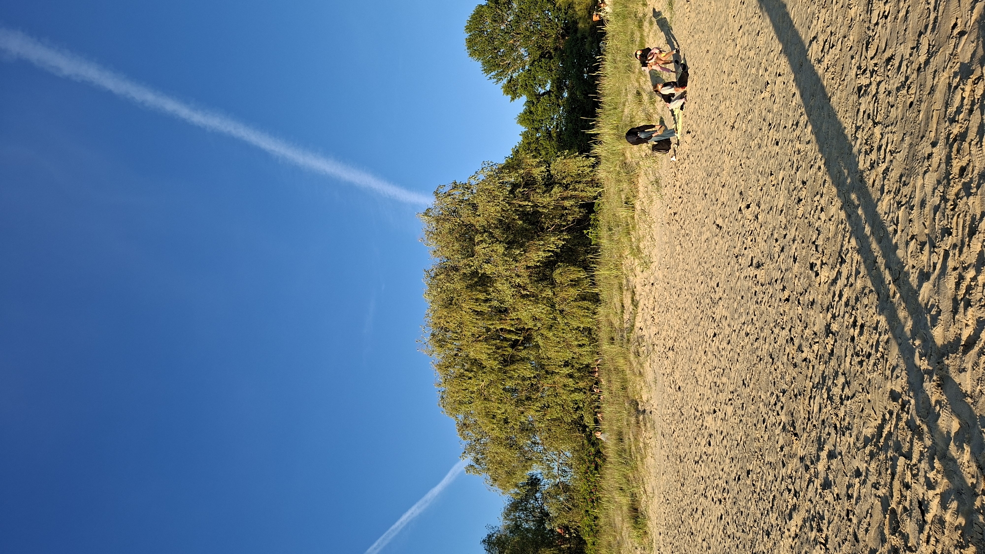 In Tallinn, Estonia, on a sandy beach, the sun casts long shadows as a group of people engage in various activities. The sky is a clear, vibrant blue, with faint white contrails streaking across it. In the background, a large, leafy tree with cascading branches dominates the scene, with other trees and vegetation forming a natural backdrop.
In the foreground, several individuals are scattered across the sand. One person is kneeling on a blue blanket, seemingly engrossed in an activity. Nearby, another person is bent over, possibly picking something up or examining the sand. Further to the right, two other individuals are seated on the sand, one appearing to be taking a photograph with a phone, while the other looks towards the camera. A black backpack rests on the sand near the kneeling person. The sand itself is textured with footprints and ripples, indicating recent activity. The overall impression is a peaceful, sunny day at the beach.