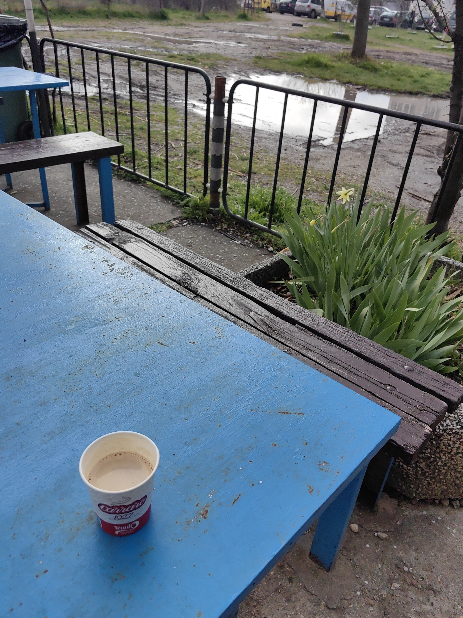 A cup of coffee rests on a blue wooden table outside, next to a weathered wooden bench and a planter with daffodils, possibly in Sofia, Bulgaria. A black metal fence separates the seating area from a muddy area, with cars visible in the distance.