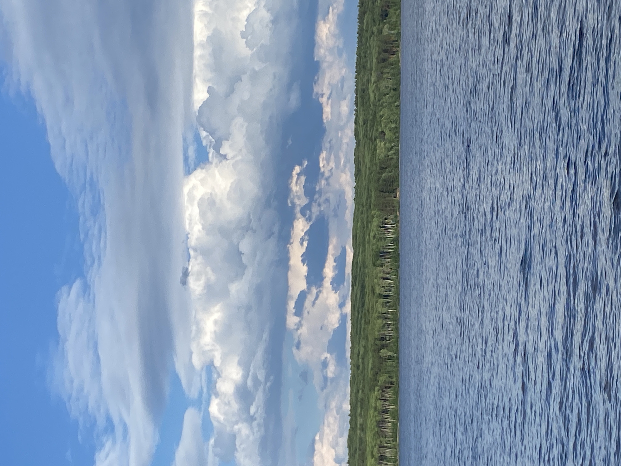 The image depicts a wide, calm body of water, likely a lake or river, with a gentle ripple pattern on its surface. In the background, a dense, dark green forest lines the horizon, suggesting a natural, undeveloped area. Above the treeline, the sky is a vibrant blue, filled with a dramatic display of white and gray clouds. These clouds are large and billowy, with some casting shadows that create variations in light and darkness across the sky. The overall impression is one of a serene and vast natural landscape under a dynamic sky. The image does not contain any people, objects, or specific identifiable landmarks. Without further information, the precise location within Chaikovsky, Russia, cannot be determined.