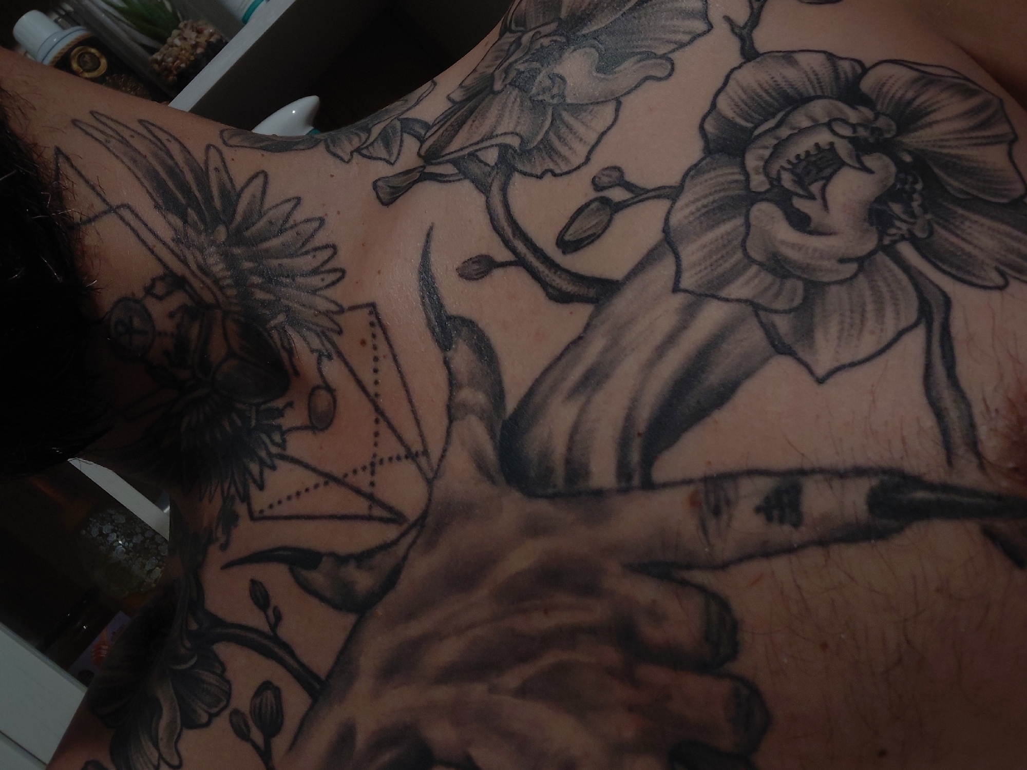 A close-up view displays the upper chest, right shoulder, and neck of an individual, extensively covered with black and grey tattoos. The subject is light-skinned and exhibits sparse body hair on the chest. Visible tattoos include a winged scarab or beetle with an Ankh symbol above its head on the neck and upper right shoulder, surrounded by geometric patterns featuring dotted lines forming a triangle. On the left chest and shoulder, a large, detailed hand with long, pointed fingernails or claws is depicted, with a small symbol resembling three stacked horizontal lines on one finger. The skin immediately surrounding the hand tattoo shows localized redness. Numerous large, realistic flowers, consistent with orchids, complete with buds and stems, are rendered with intricate shading across the chest and shoulder. The background, visible as a reflection, indicates an indoor setting with shelves and bottles, consistent with a private residence located in Plovdiv, Bulgaria. No actions or interactions are depicted.
