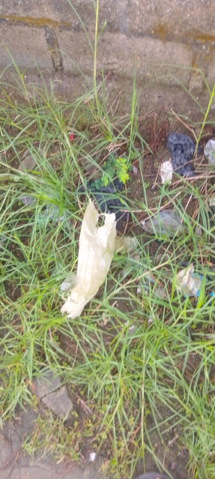 The scene depicts a patch of unkempt grass in an unidentified urban location. Litter is scattered throughout the area, including a torn white plastic bag prominently situated near the center of the frame, as well as a black plastic bag and other smaller pieces of debris. A portion of a gray brick wall is visible at the top of the image, suggesting an urban or suburban setting. No people are present.