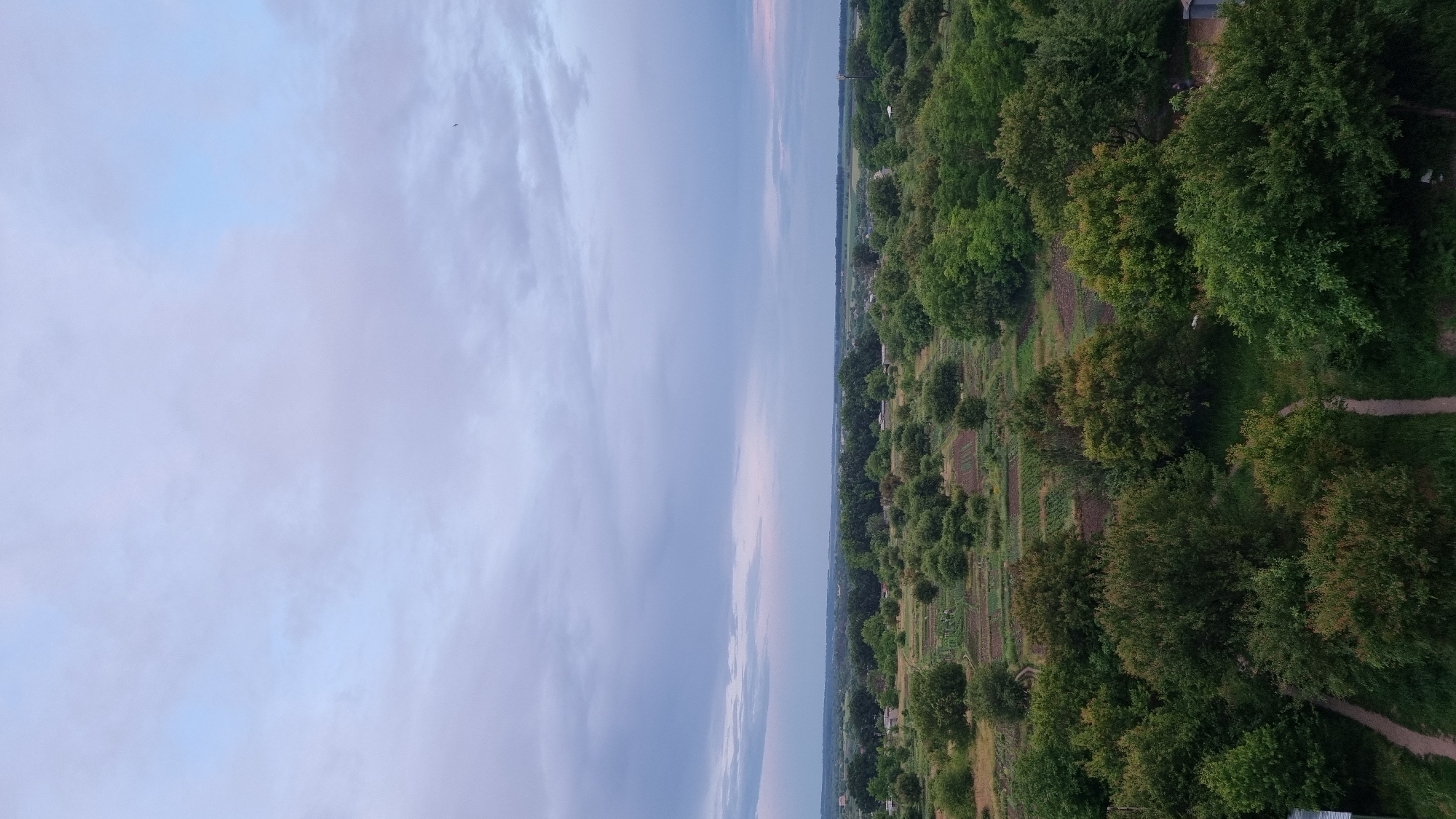 An aerial view of a rural landscape, likely on the outskirts of Smila, Ukraine, depicts a vast expanse of greenery under a cloudy sky. The foreground is dominated by lush trees and foliage, with dirt paths weaving through them. In the middle ground, cultivated fields are visible, interspersed with more trees and small structures. The background shows a distant treeline and a faint horizon. The sky is overcast with soft, diffused light, suggesting either early morning or late evening. There are no visible people or animals in the scene, nor any discernible actions or interactions. The overall impression is one of a tranquil, natural setting.