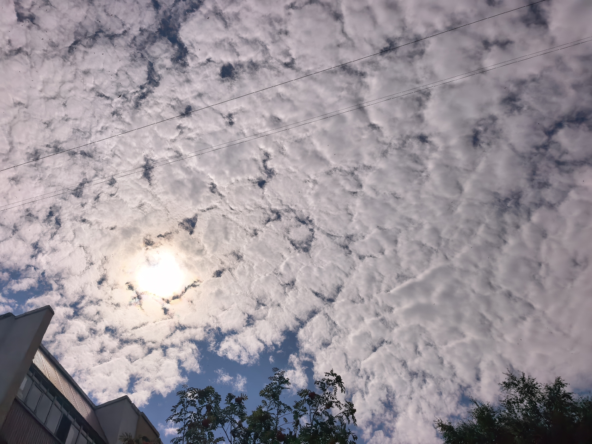 This image captures a cloudy sky in Sterlitamak, Russia, with the sun partially obscured by clouds. In the foreground, the upper section of a building, likely an apartment block, is visible on the left, featuring windows and architectural details. To the right and lower down, the branches of a tree laden with red berries, possibly rowan berries, are present. Overhead, power lines traverse the sky. The overall scene depicts an urban environment under a dynamic sky.