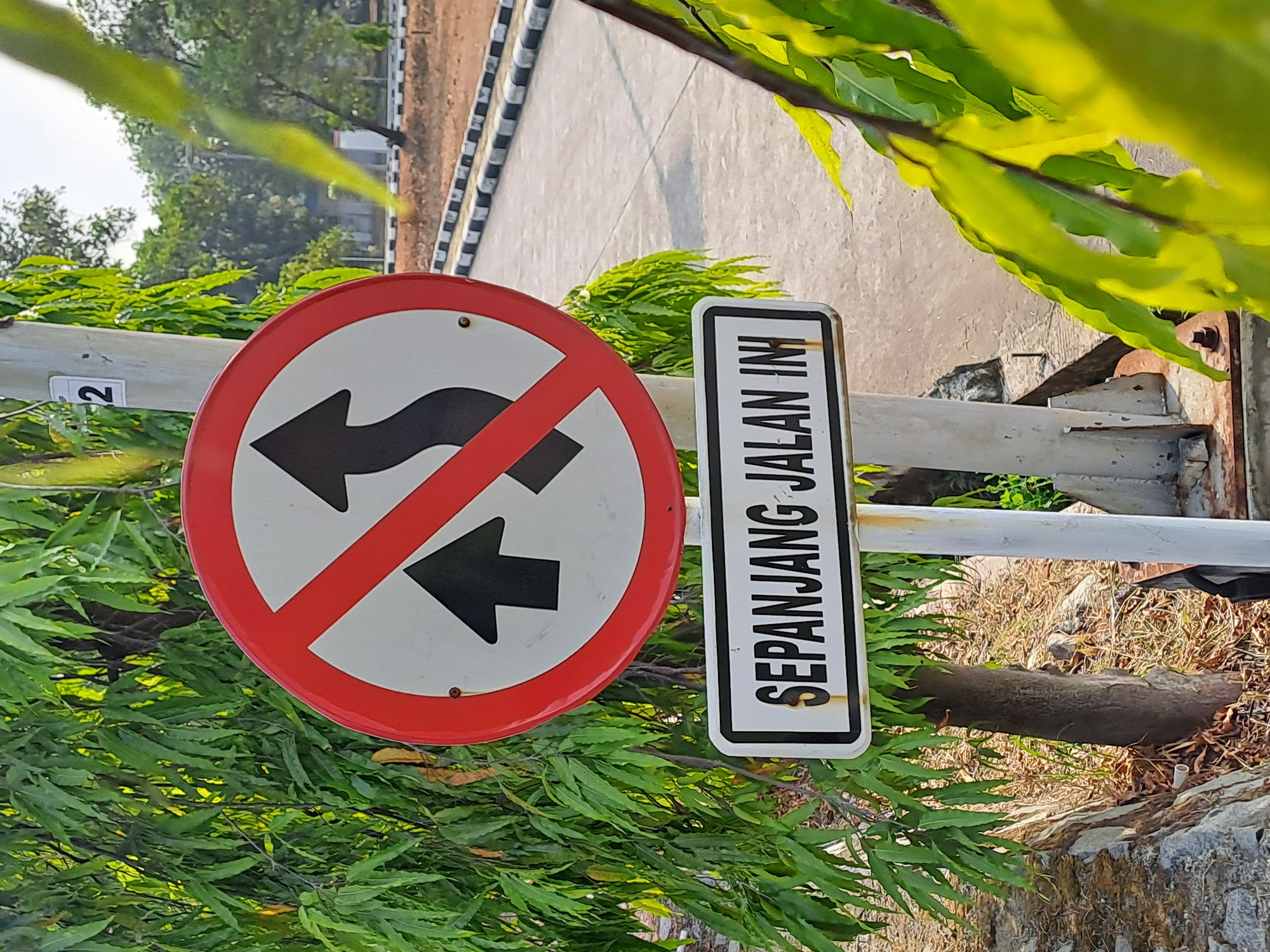 This is a medium-shot, eye-level, outdoor photograph of a traffic sign with accompanying text in Indonesian, located on a road in Karawang, Indonesia. The main traffic sign is circular with a red border and a white background, depicting a red diagonal line across the center. To the left of the diagonal line is a black arrow pointing straight up, and to the right is a black arrow depicting a wavy line, indicating a change of lane or path. Below the circular sign is a rectangular sign with a white background and black text that reads "SEPANGJANG JALAN INI". This translates to "This Road". The signs are mounted on a metal pole, which is weathered and rusty in places. Green foliage from a tree partially obscures the left side of the circular sign and the top of the pole. In the background, a paved road with a distinct black and white patterned curb stretches into the distance. The road appears to be a two-way street. There are scattered trees and a building in the far background, suggesting an urban or semi-urban environment. The lighting indicates it is daytime, with sunlight casting shadows and highlighting the green leaves. No people are visible in the frame. The overall scene depicts traffic regulation signage within a natural and developed setting.