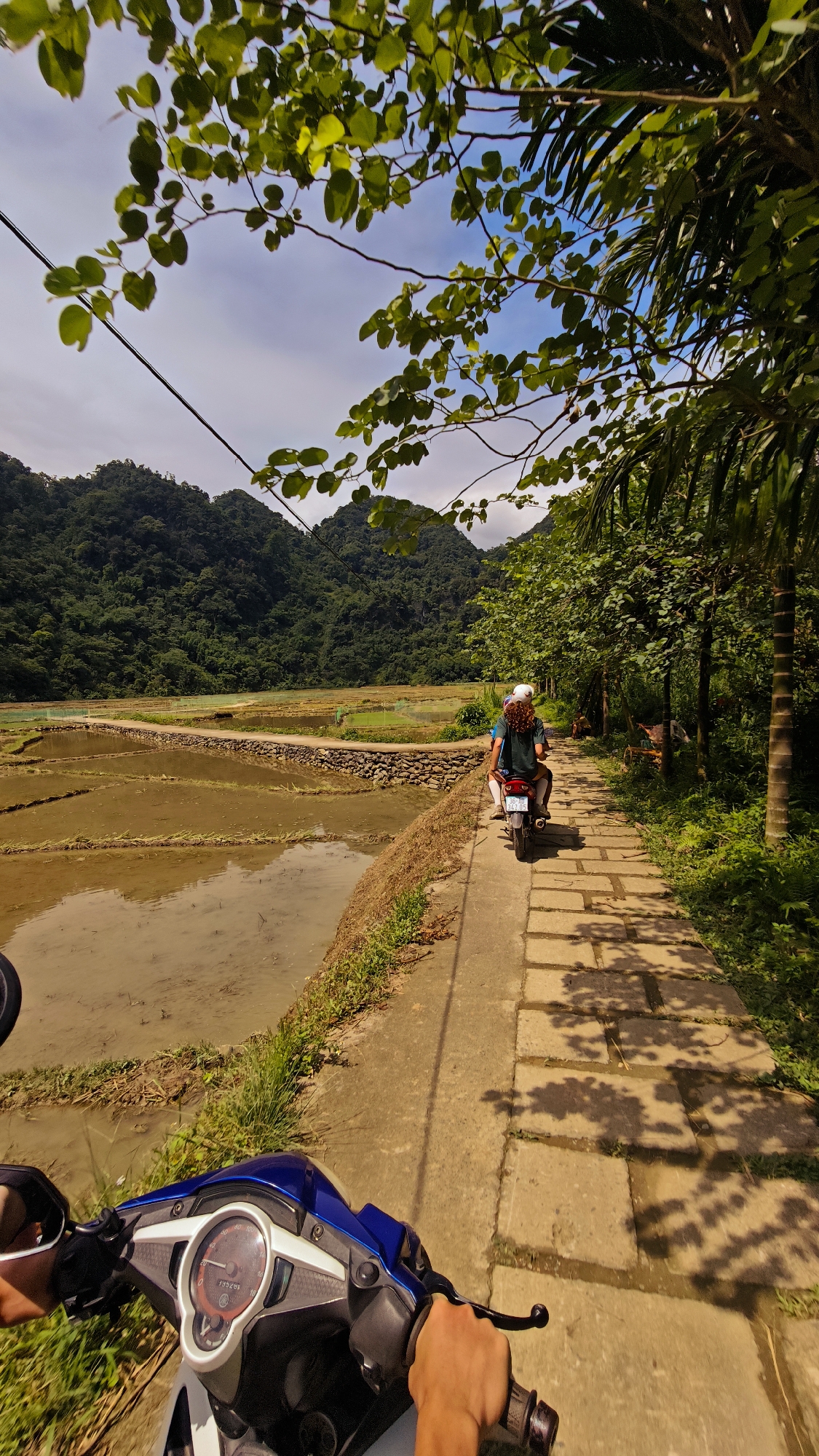 An over-the-shoulder shot from a motorcycle shows two people riding on a path with stone slabs. The rider in front wears a white helmet and a dark green shirt, while the passenger behind has curly brown hair and wears a white shirt. The motorcycle has a blue and white body with a circular speedometer. To the left of the path are flooded rice paddies, separated by low stone walls. In the background, lush green mountains rise under a cloudy blue sky. Trees with large green leaves frame the top of the image, and palm trees line the right side of the path. The scene is set in Pù Luông Commune, Vietnam.