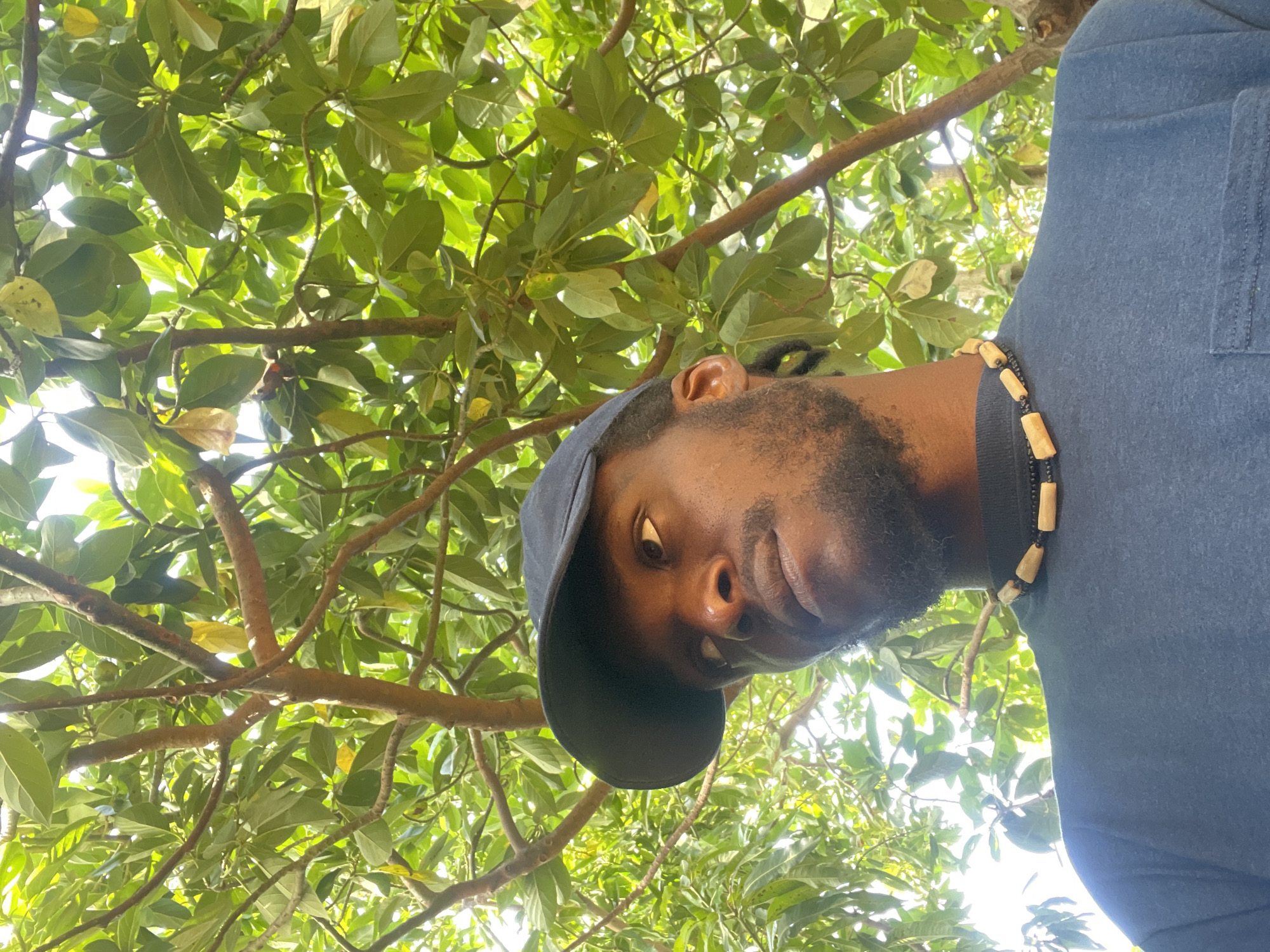 The image features a low-angle, close-up portrait of a man, captured outdoors under a tree. The subject, a man with dark skin, is seen looking downwards towards the camera. He has a neatly trimmed beard and is wearing a dark blue t-shirt, along with a dark baseball cap positioned backward on his head. Around his neck is a distinctive necklace crafted from alternating black and light brown, likely wooden, cylindrical beads. His expression appears calm and composed, with one eye visible, hinting at a direct gaze.
The background is filled with dense, vibrant green foliage and branches of a tree, suggesting the photograph was taken from directly below, looking up through the canopy. Bright sunlight penetrates the leaves, creating clear highlights and shadows, indicating a sunny and clear day. The natural, leafy environment aligns with the type of vegetation found in tropical or subtropical regions such as Jos, Nigeria. The image captures a moment of casual posing. The entire photograph is rotated 90 degrees clockwise, presenting the subject horizontally within the frame. There is no visible text in the image.