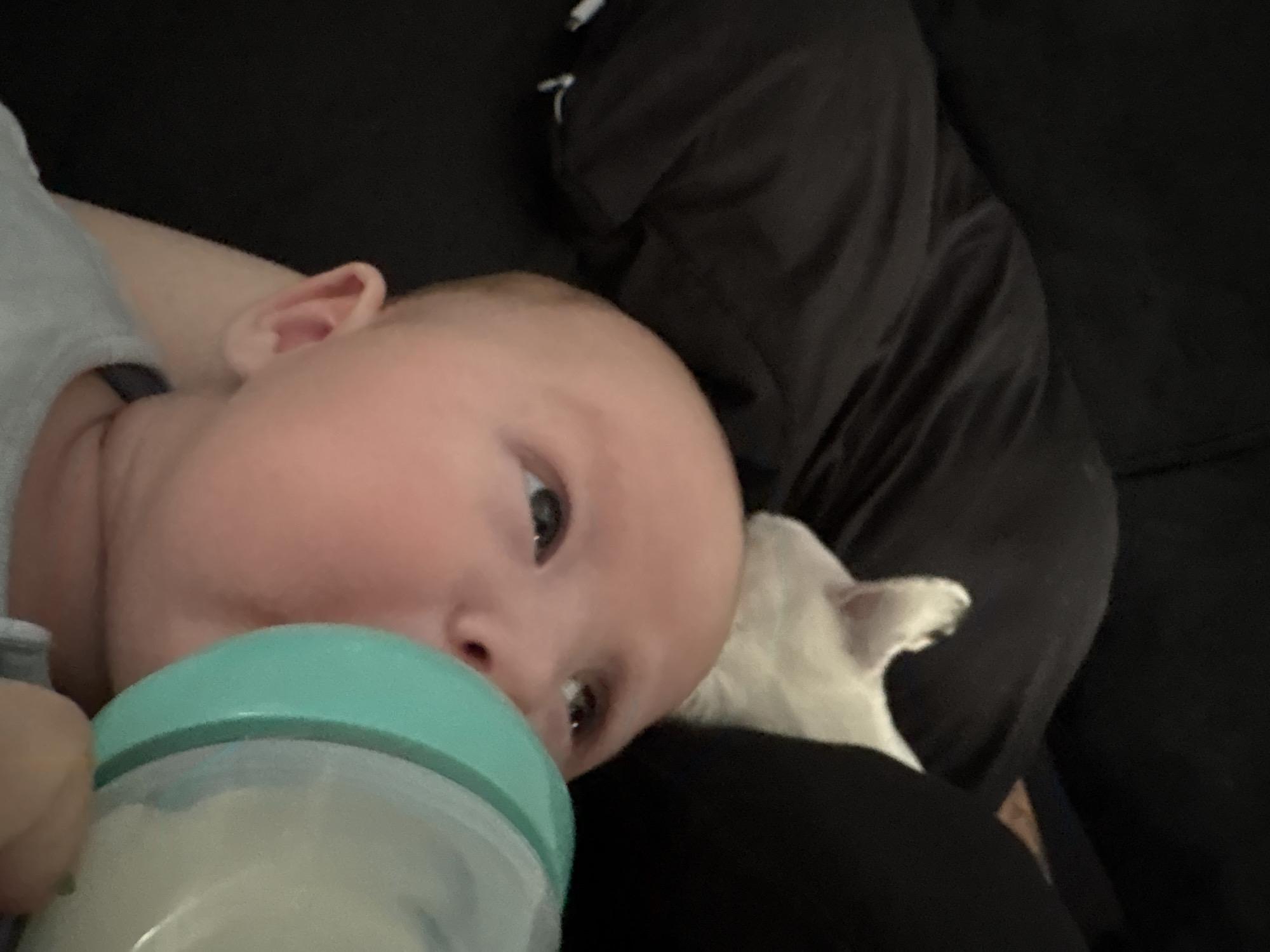 A baby is being bottle-fed. A white dog is present next to the baby. The setting appears to be indoors, likely on a couch. No specific evidence indicates the location is Carlisle, United Kingdom.