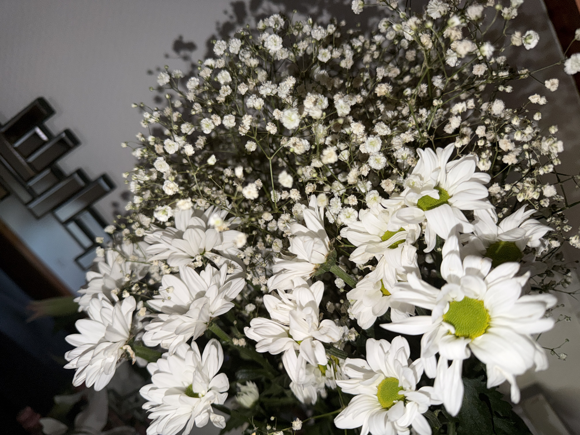 This media file features a close-up, overhead view of a bouquet of white flowers, predominantly daisies with bright green centers, interspersed with delicate white baby's breath. The flowers are arranged densely, creating a full and textured composition. The lighting suggests an indoor setting, possibly evening or a dimly lit room, as evidenced by the shadows cast on the plain, light-colored wall behind the bouquet. To the left of the frame, a blurred section of dark, reflective geometric decor or furniture is visible, providing a contrasting element to the organic forms of the flowers. The overall mood is serene and natural, emphasizing the beauty and simplicity of the floral arrangement. There is no visible text or indication of a specific event. The location context of Saint-Maurice, Switzerland, does not offer specific visual cues within the image itself.