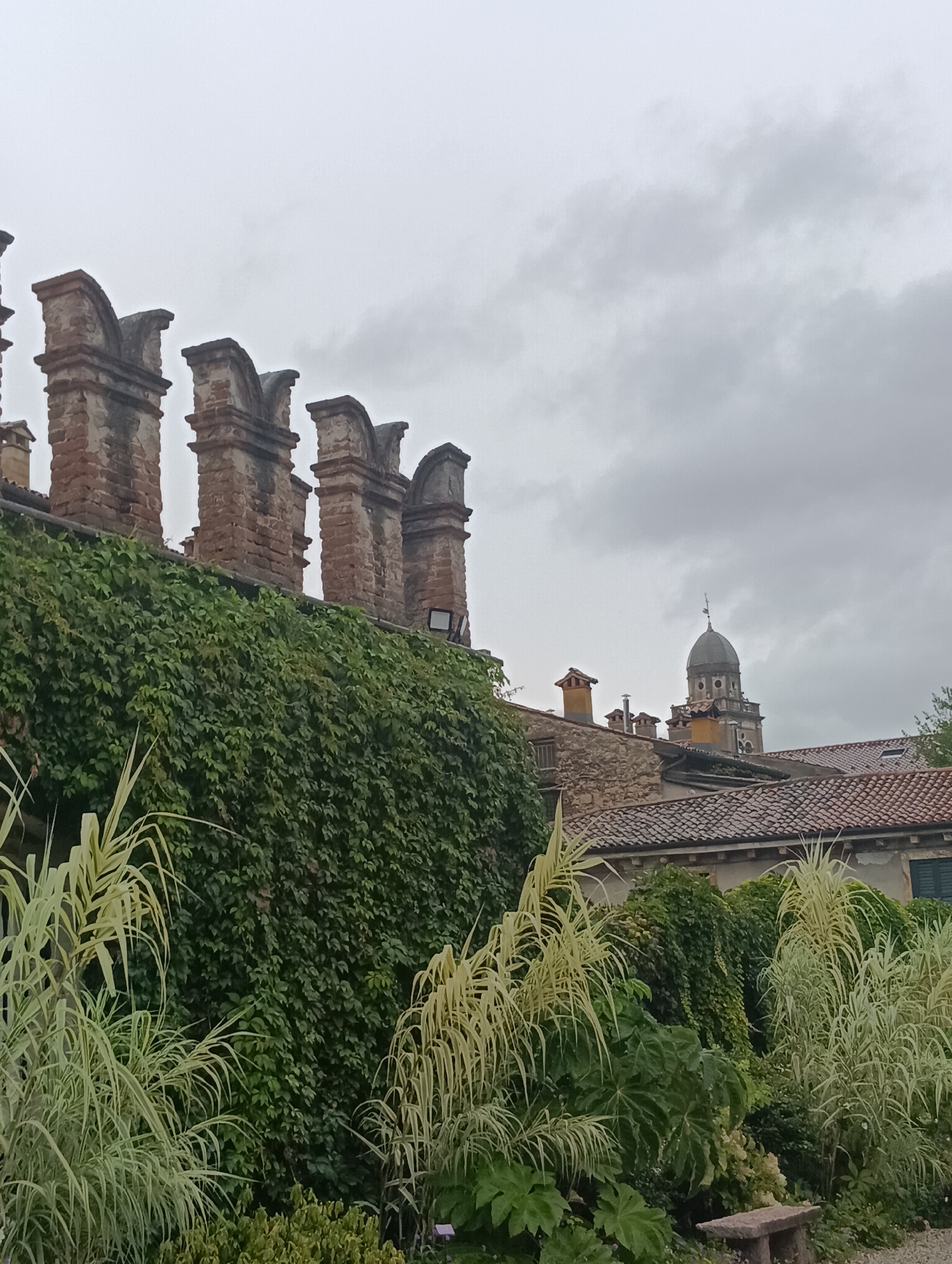 The image depicts a view of the Scaliger Tombs in Verona, Italy. In the foreground, a lush wall of green ivy climbs up a stone structure. To the right, ornamental grasses with pale green and white variegated leaves are prominent. In the background, the distinctive crenellated battlements of the Scaliger Tombs, made of weathered brick, rise above the ivy. Beyond that, terracotta-tiled roofs of surrounding buildings are visible, and a domed tower, likely part of a church, stands against a cloudy sky. The overall scene suggests an overcast day in a historic Italian city. There are no people or discernible actions in the image.