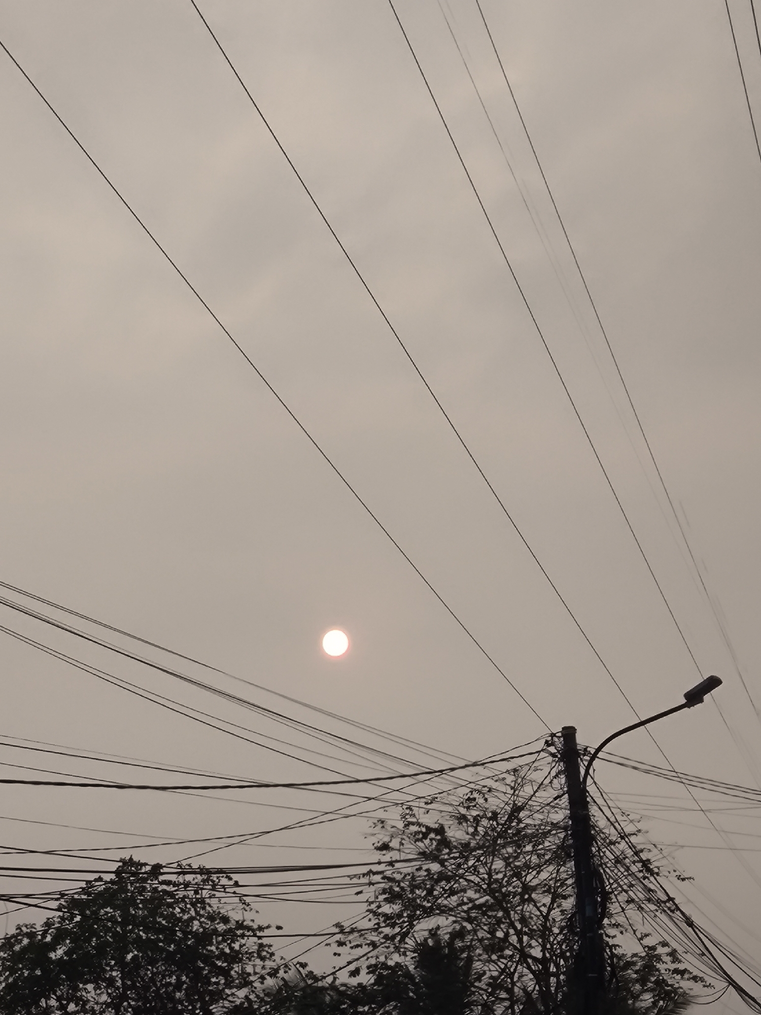 The image captures a hazy sky over Cilegon, Indonesia, with the sun appearing as a small, bright orb. A complex network of power lines dominates the upper and middle portions of the frame, crisscrossing in various directions. In the foreground, a street lamp on a pole is visible on the right, with a silhouette of dense trees and foliage below. The overall impression is one of urban infrastructure set against a muted, atmospheric sky.