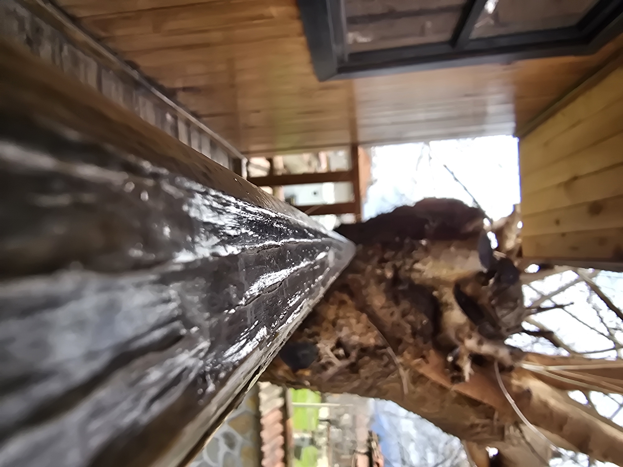 The scene is set in the city of Unknown, Unknown. The image captures a detailed perspective from a balcony or porch, dominated by a wet, dark, possibly wooden railing or balustrade in the foreground, stretching diagonally from the lower right to the mid-left. This surface exhibits strong reflections of ambient light, indicating dampness or recent precipitation. To the left, a building facade constructed of vertical light-brown wooden planks features a dark-framed window. Above this, horizontal wooden planks form a ceiling or overhang. In the midground, behind the railing, stands a large, mature tree with a thick, gnarled trunk and bare branches, suggesting a dormant state. The background reveals an overcast sky filtering through the tree's branches. To the right, below the tree, a stone wall topped with terracotta tiles is visible, with a patch of green grass beyond it. Further in the distance, blurry structures and faint outlines of hills or mountains are discernible under the bright, diffused light. No people or animals are visible, and no discernible actions are occurring.