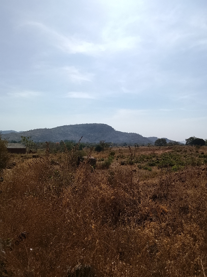 The image presents a wide-angle landscape from Jibam, Nigeria, under a hazy, light blue sky featuring scattered, wispy white clouds. The foreground is occupied by dense, dry, reddish-brown vegetation, primarily consisting of brittle grasses and shrubs. The midground reveals areas of exposed reddish-brown soil, intermingled with sparse patches of greener, low-lying vegetation and a few scattered deciduous trees. To the far left, partially obscured, is a single-story structure with reddish-brown walls and a dark, sloped roof. The background is dominated by a prominent, elongated hill or mountain range, appearing dark and densely covered with foliage or rocky terrain. Additional, lighter-toned hills are visible in the distant right background. No human or animal subjects are discernible, and no specific actions or interactions are observed.