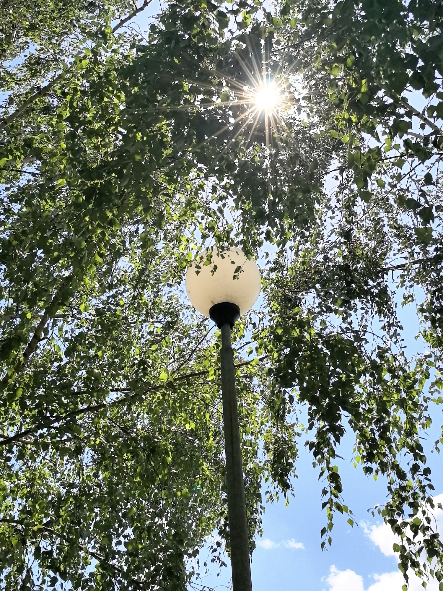 An outdoor, low-angle shot captures a bright sunburst through the leaves of a tall tree. The sun's rays emanate from the upper center of the frame, creating a starburst effect. Below the foliage, a lamppost with a round, white globe light fixture is visible, positioned slightly off-center to the right. The background is a clear blue sky with a few scattered white clouds. The leaves of the tree are green and appear to be from a birch tree due to their slender branches and small, serrated leaves. The image suggests a pleasant day in an urban park or a tree-lined street.