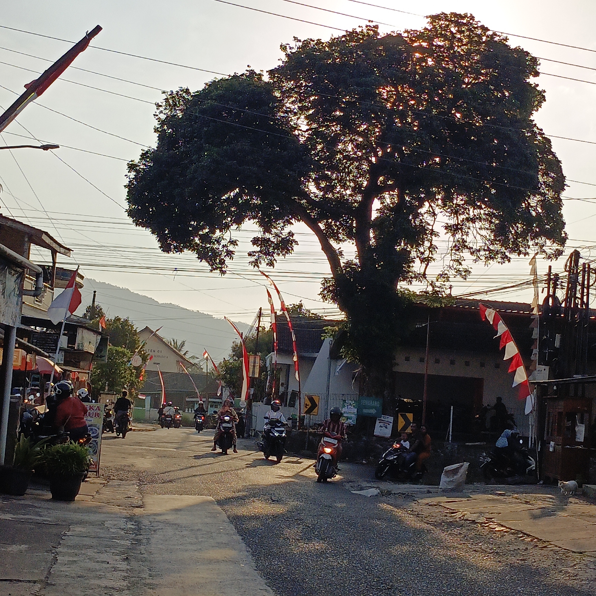 The image captures a street scene in Sraten, Indonesia, likely during the late afternoon or early evening, given the warm, low-angled sunlight filtering through a large, leafy tree. The street is paved with asphalt and shows signs of wear. Several motorcycles and their riders are present, with some moving along the road and others parked.
On the left side of the street, there are buildings with awnings and balconies. Red and white Indonesian flags are prominently displayed, attached to poles and fluttering in the breeze, indicating a festive occasion or national pride. One flag on the left is partially obscured by a street light and overhead wires.
The large tree, positioned in the center-right of the frame, is a dominant natural element, its dense foliage backlit by the sun, creating a dappled effect. Power lines are strung across the sky, crisscrossing above the street and tree.
On the right side of the street, more buildings are visible, some with dark facades. Several motorcycles are parked in front of one building. Further down the street, more Indonesian flags are visible. A white cat is seen walking on the right side of the road, in the foreground. The background shows a gentle slope of a hill or mountains under a hazy sky. The overall atmosphere suggests a bustling but relaxed local community.