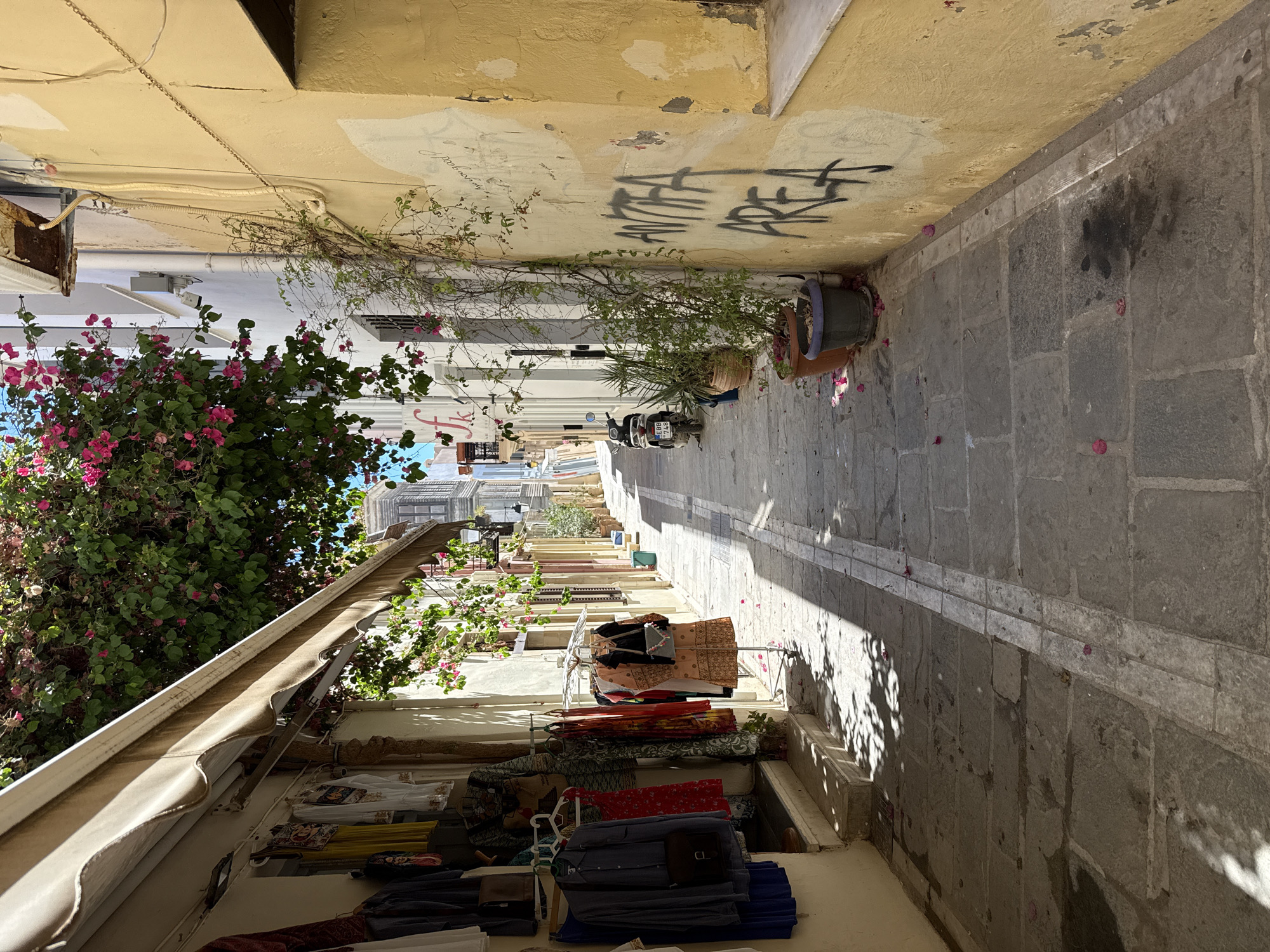 The image depicts a narrow, sun-drenched alleyway in the old town of Rethymno, Greece. The street is paved with large, irregularly shaped stone slabs, with a distinct, lighter-colored stone border running down the center. On the left side of the alley, a shop displays clothing on racks and hangers, with a beige awning extending overhead. The clothing includes dresses, shirts, and skirts in various colors and patterns. A small step leads up to the shop entrance.
The right side of the alley is dominated by a textured, yellow-painted wall adorned with graffiti. The graffiti, written in black spray paint, appears to read "AVTIPA AREA". Green vines climb the wall, and several potted plants, including succulents and other greenery, are placed along the base of the wall.
In the background, the alley recedes into the distance, revealing more buildings with architectural details characteristic of Greek old towns, including balconies and shuttered windows. A white scooter is parked on the right side of the alley, near the potted plants. Pink bougainvillea flowers cascade from unseen trees overhead, adding splashes of color to the scene and casting dappled shadows on the pavement. Scattered pink petals are visible on the ground throughout the alley. The overall impression is one of a vibrant, historic urban environment on a bright, sunny day.