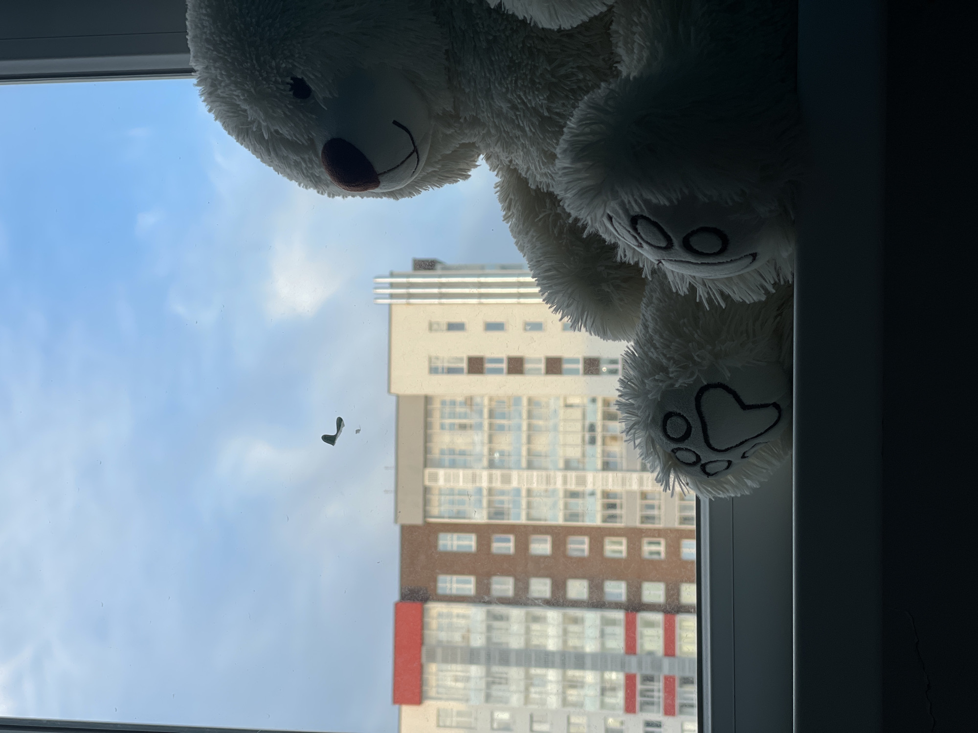 A low-angle, indoor shot shows a partial view through a window, including the top part of a white, plush teddy bear. The bear's head is slightly tilted to the left, with a visible dark nose and a stitched smile. Its white, fluffy paws, also with stitched details, are positioned below the head. Outside the window is a view of a high-rise building with a mix of white, beige, and red panels. The sky is visible in the top left, with a mix of blue and clouds. A small, dark object appears to be stuck to the window pane. The window frame is white and visible around the edges.