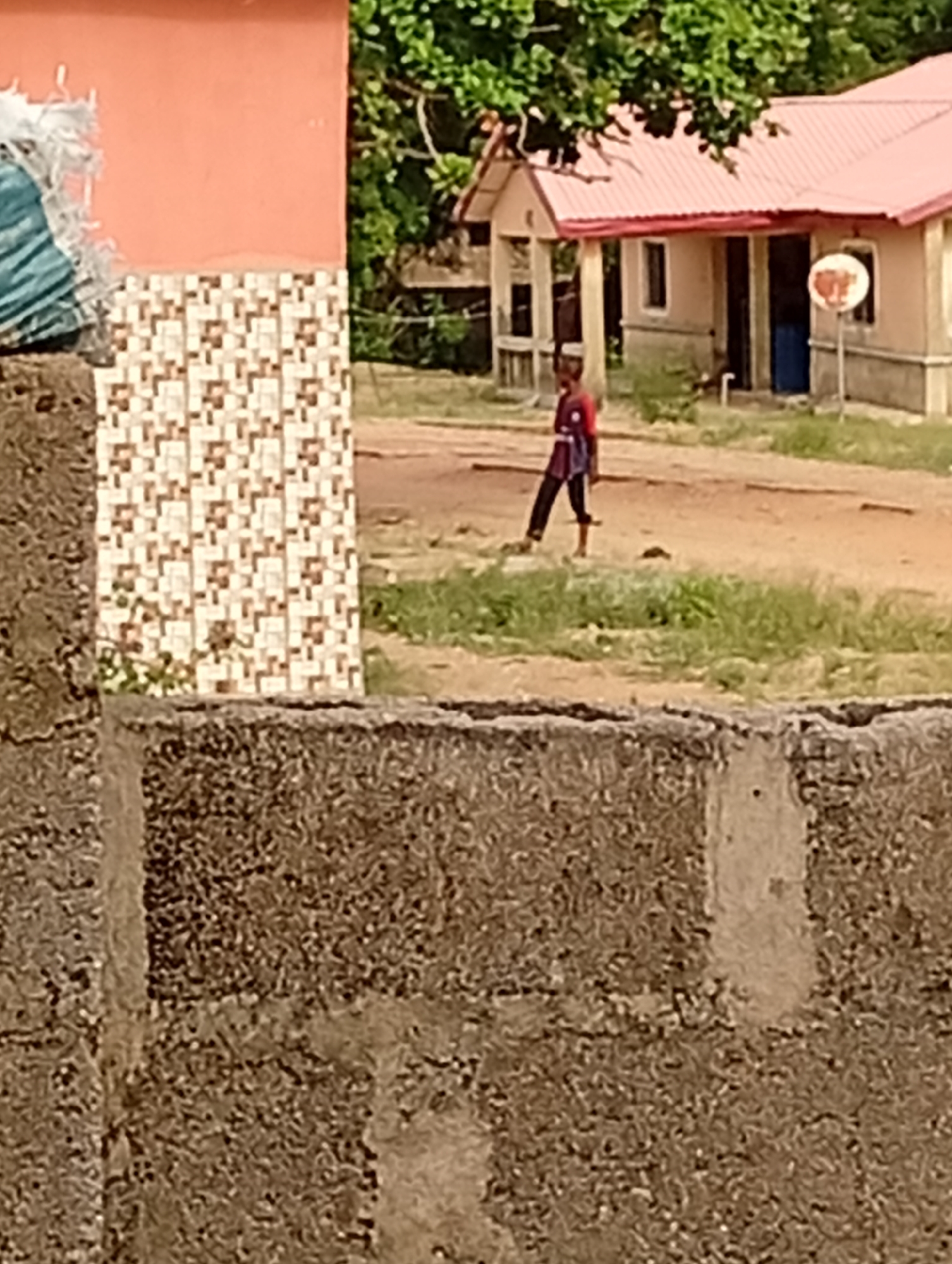 This outdoor scene depicts a rural or semi-urban environment under daylight conditions. In the mid-ground, a child, dressed in a dark top with red detailing and dark pants, stands or walks on an unpaved dirt path scattered with patches of green grass.
To the left of the child, a section of a building or wall features an orange-peach upper facade and a lower portion adorned with brown and white geometric patterned tiles. A light-colored, possibly white, bag or fabric is draped over the top left edge of this structure. The immediate foreground is dominated by a rough-textured wall constructed from large, irregular concrete or stone blocks, which partially frames the view.
In the background, several single-story buildings with light-colored walls and distinctive red/orange corrugated metal roofs are visible, set among lush green trees and bushes. One of these buildings clearly shows a blue door. A light-colored, circular or oval object, possibly a sign or a decorative element, stands on a pole near one of the buildings on the right. The lighting suggests fair weather, likely late morning or afternoon, with no harsh shadows. No legible text or strong emotional expressions are visible.
