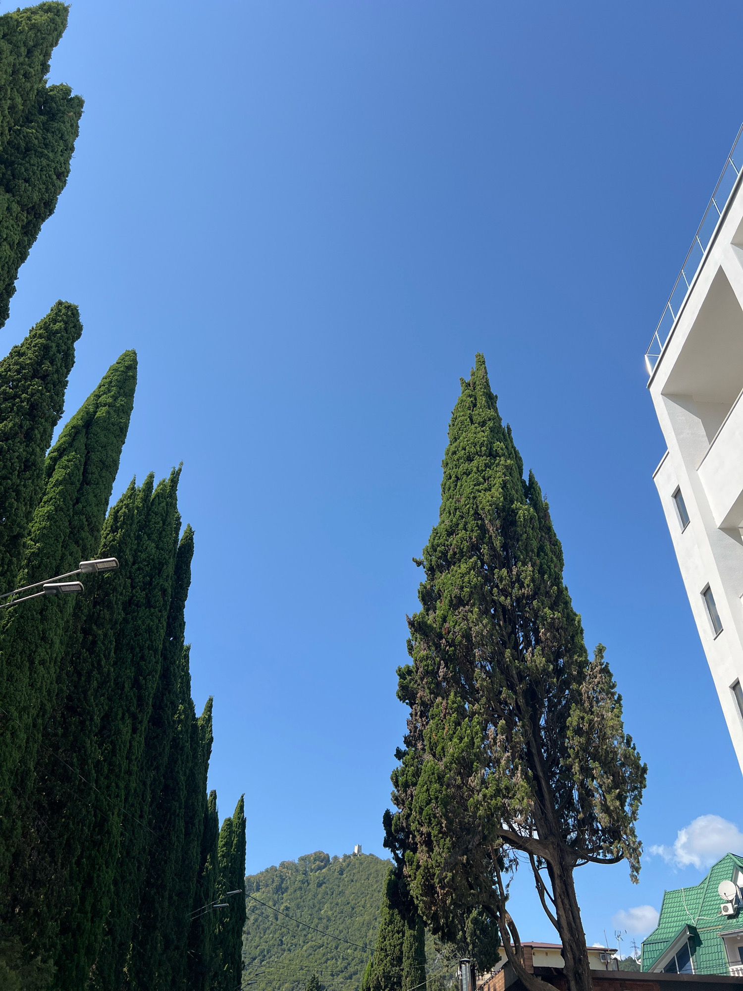 The image captures a bright, sunny day in New Athos, Abkhazia, with a clear blue sky dominating the frame. In the foreground, a line of tall, dark green cypress trees stands prominently, their conical shapes reaching upwards. To the right of the cypress trees, a modern white building with balconies and dark windows is visible, suggesting an urban or resort setting. Further in the background, a lush green mountainside rises, with what appears to be a small structure or monument on its peak. The base of the mountain features some vegetation and hints of buildings. Several streetlights are positioned among the cypress trees. The overall scene is serene and bathed in natural light.