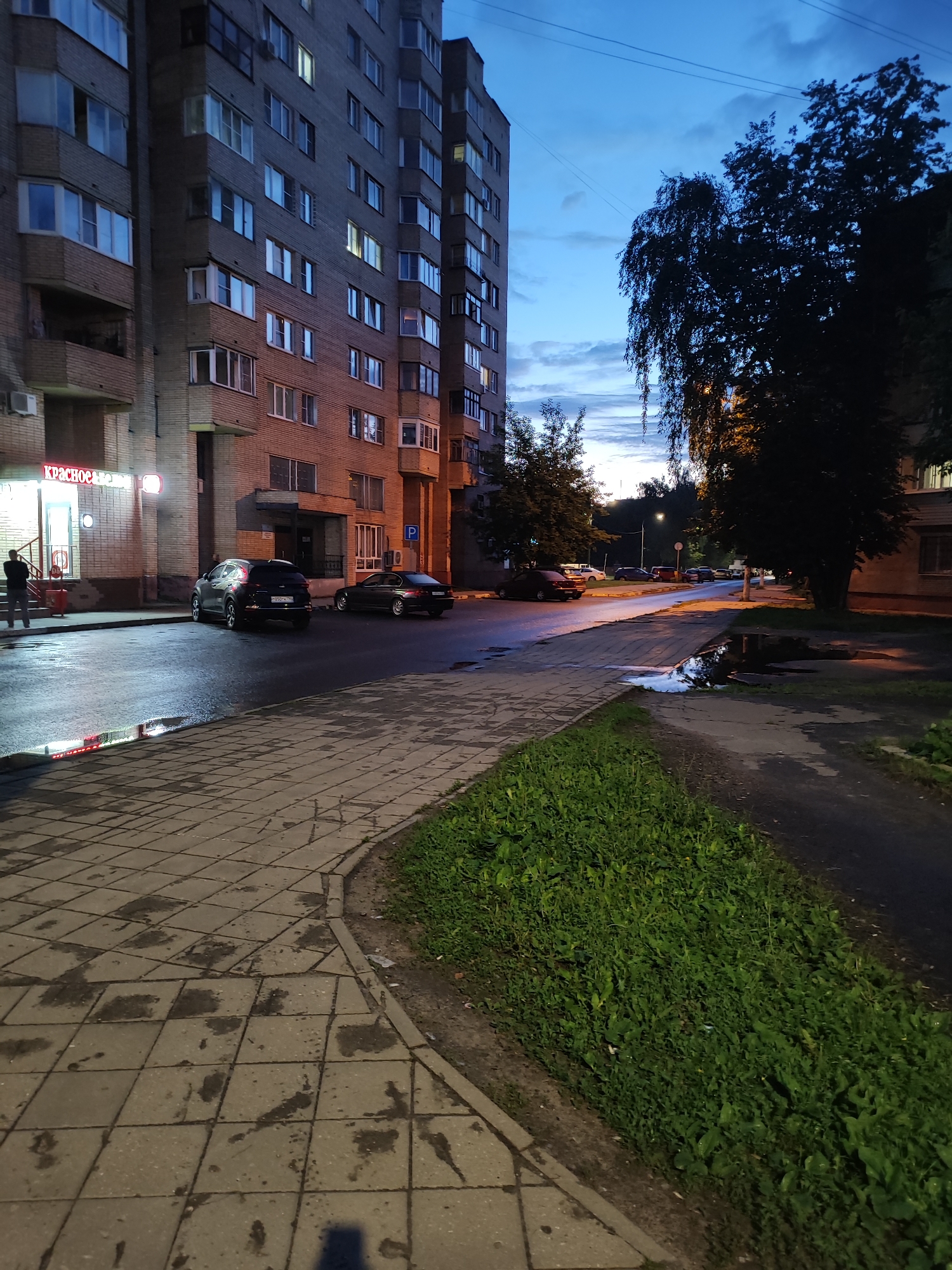 A nighttime outdoor scene in an urban setting depicts a sidewalk in the foreground, paved with square concrete tiles. The tiles are wet and appear to have dark splotches, possibly from rain or debris. A curved strip of green grass borders the sidewalk on the right. Beyond the sidewalk is a paved road, also wet with puddles reflecting light. Two dark-colored cars are parked on the right side of the road. Further back, another dark-colored car is parked on the left side of the road, and several other cars are visible in the distance. A tall, multi-story brick apartment building with numerous windows dominates the left side of the image. Lights are visible in some of the windows. A sign with red lettering is mounted on the building near street level. On the right side of the image, a large, dark tree with dense foliage is silhouetted against the twilight sky. The sky is a deep blue with scattered clouds, indicating dusk or early night. Power lines are strung across the sky. The overall impression is a street scene in a residential area after dark, possibly after rainfall.