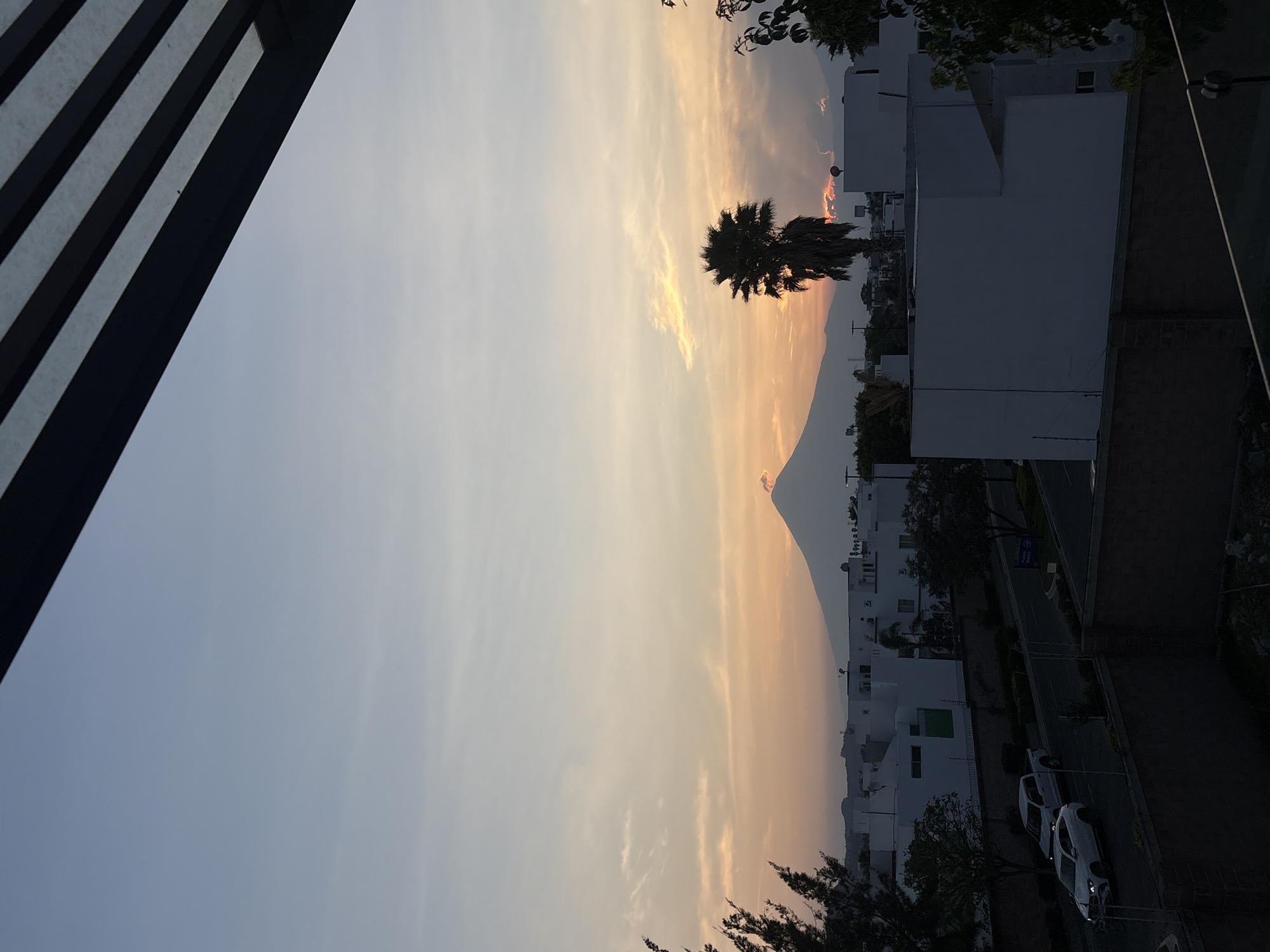 The photograph depicts a dusk scene in San Bernardino Tlaxcalancingo, Mexico. A prominent silhouette of a palm tree is positioned against a golden, cloud-streaked sky. In the background, a mountain rises, partially obscured by the atmospheric haze. The lower portion of the image reveals a street lined with white buildings, trees, and parked cars. The composition is framed by a dark structure, possibly part of a building, on the left side of the image.