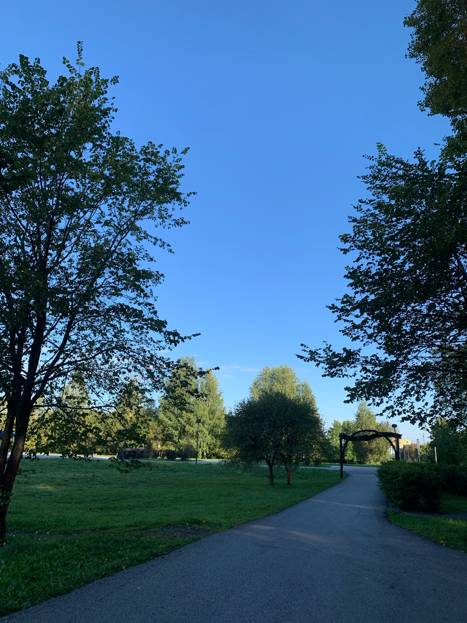 A paved walking path curves through a park with lush green grass and numerous trees under a clear blue sky. On the left side of the path, a large tree with dark bark and green leaves dominates the foreground. Across from it, to the right, is a dense hedge. Further into the park, several smaller trees are visible, and in the distance, an arched wooden structure stands near the path. The overall impression is of a tranquil, well-maintained public park.