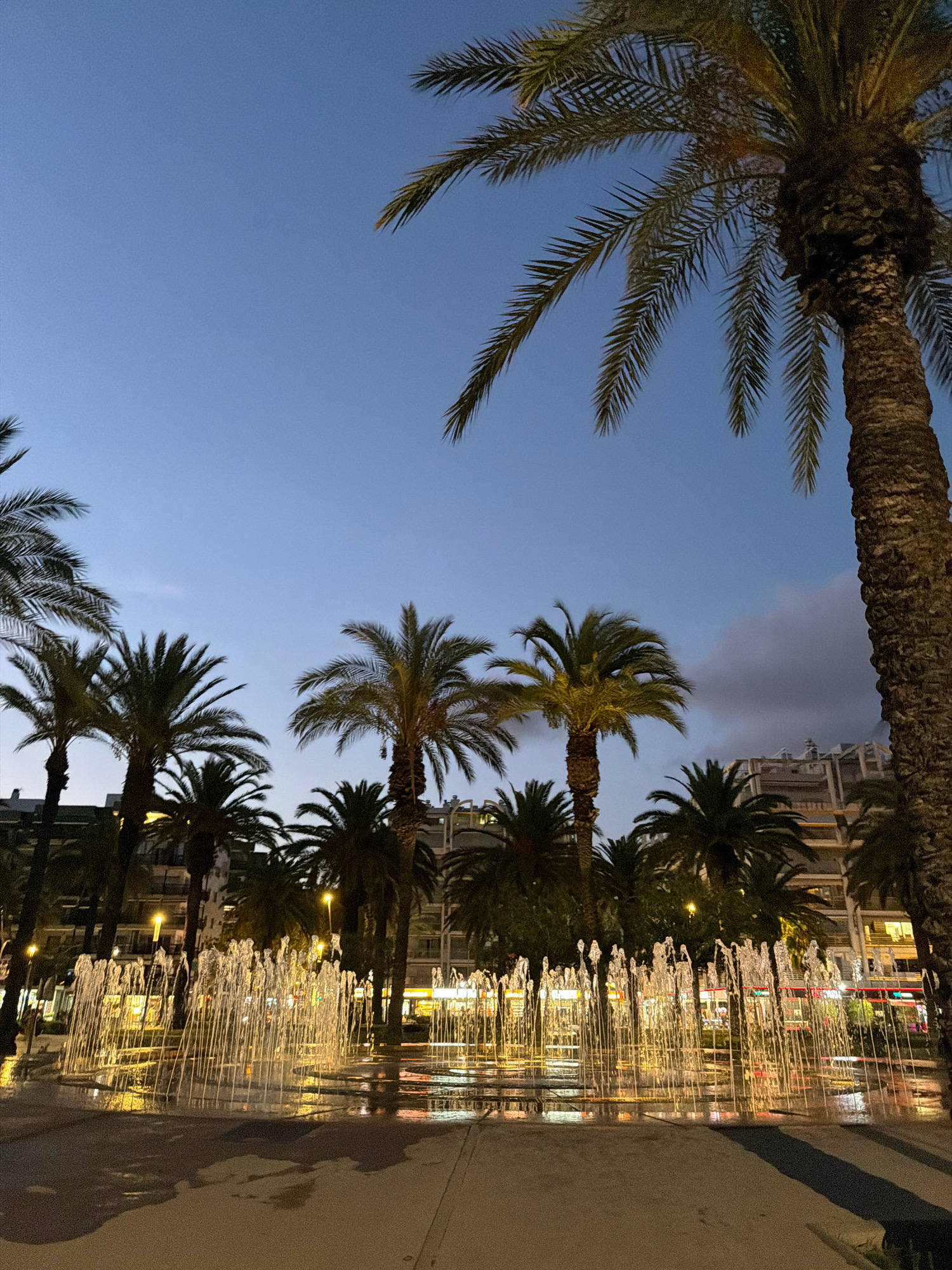 The image depicts a public square in Salou, Spain, at dusk. A large fountain with multiple streams of water is in the foreground, illuminated by artificial lights. The water reflects the warm glow of nearby streetlights and the lights from shops and buildings in the background. Palm trees are scattered throughout the scene, their fronds silhouetted against the twilight sky. Buildings with multiple stories are visible behind the trees, suggesting an urban environment. The sky is a gradient of deep blue to lighter shades, with some clouds visible on the horizon. No people are visible in the frame.