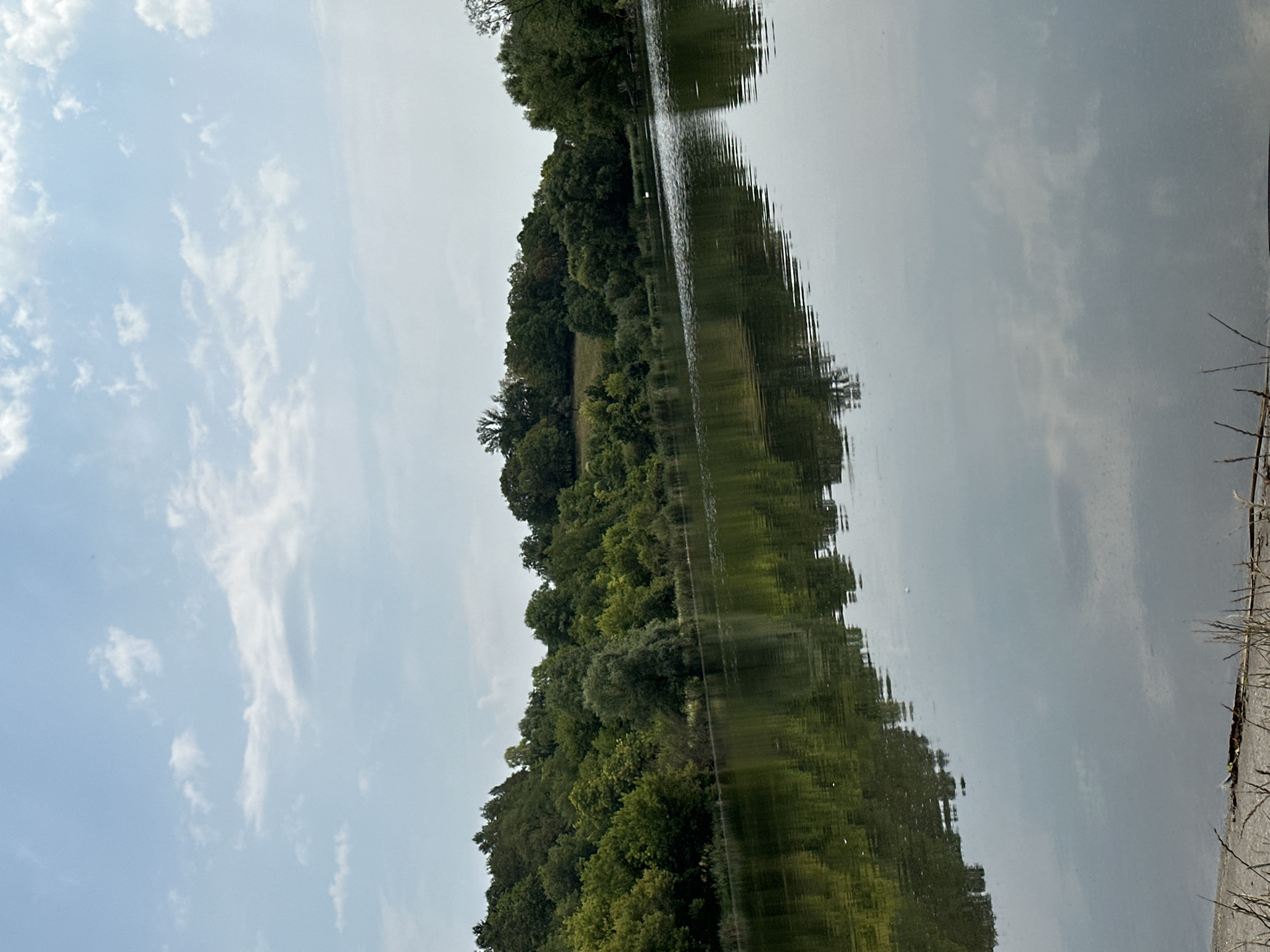 The image shows a serene natural landscape. A calm body of water, likely a lake or river, occupies the lower half of the frame, reflecting the sky and the lush green trees that line the opposite bank. The trees form a dense forest that covers rolling hills in the background. The sky is a pale blue, dotted with scattered white clouds. The shoreline in the foreground appears to be made of sand and dry grasses. There is a single white swan visible on the water in the distance. The scene conveys a sense of peace and tranquility, typical of a rural or park setting. The location is described as being in the city of Makiv, Ukraine.