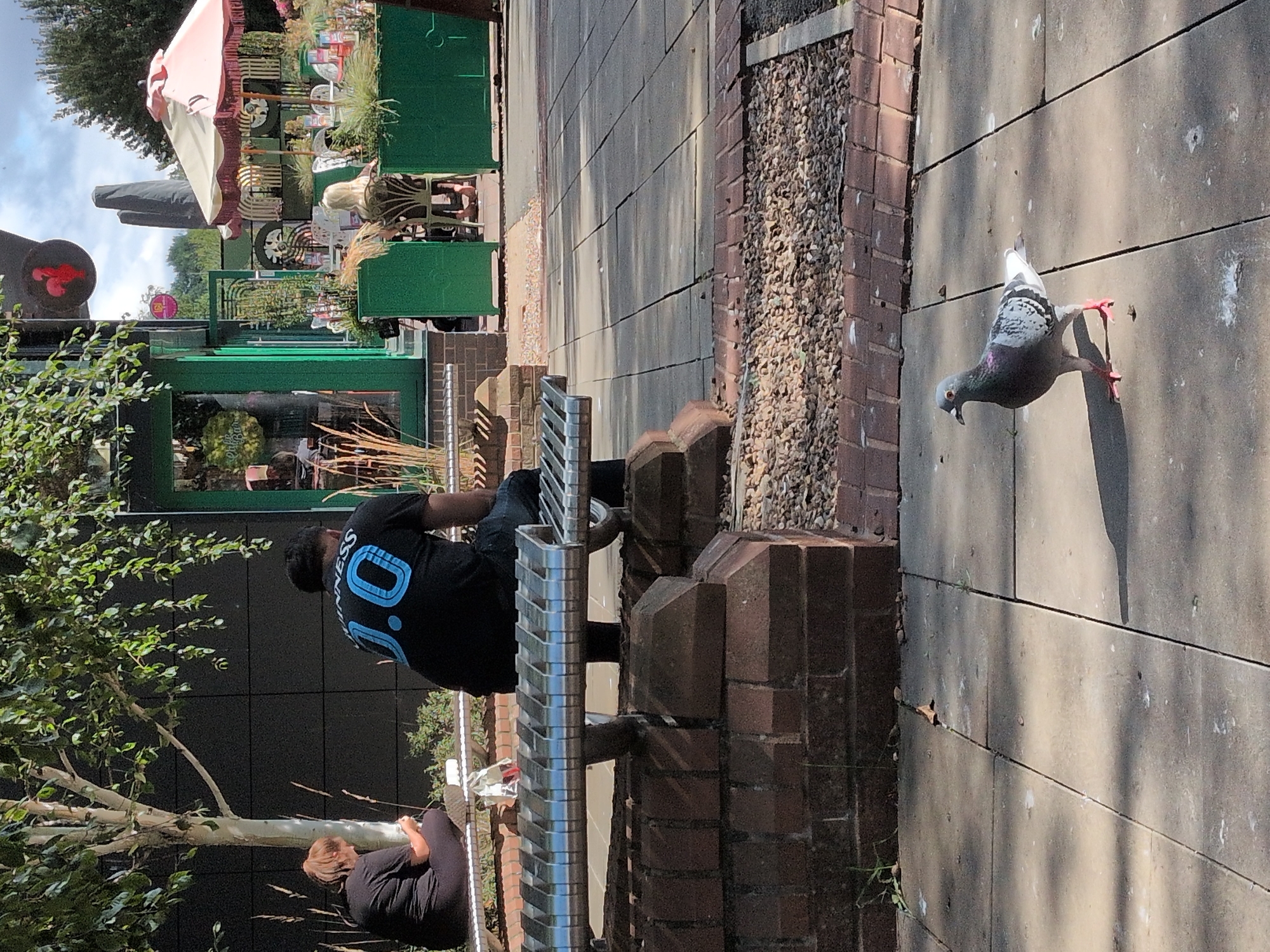 A pigeon stands on a paved outdoor area, likely a public space or cafe seating area. The pigeon is grey and white with pink legs and feet. Behind the pigeon, a modern metal bench is visible, with a man sitting on it wearing a black t-shirt with "10.0" printed in blue on the back. To the left of the man, another person is sitting on the same bench, wearing dark clothing and looking down at a phone. A tree with green leaves provides shade on the left side of the image. In the background, there is a building with green accents, and outdoor cafe seating with umbrellas. The ground is paved with large square tiles interspersed with gravel. The scene appears to be an outdoor seating area of a cafe or restaurant in Wyre Forest, United Kingdom, on a sunny day, indicated by the shadows cast on the ground.