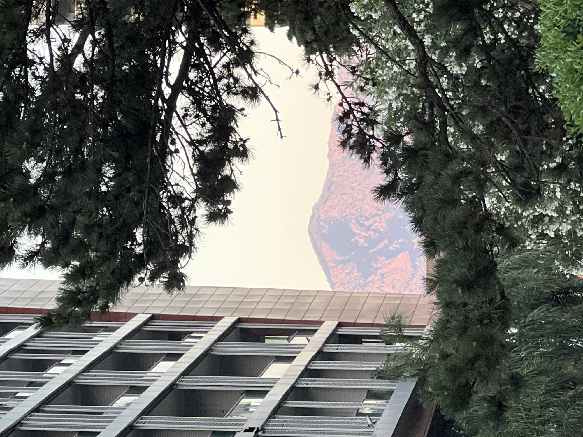 The image shows a modern building with balconies and glass railings on the left, partially obscured by pine trees in the foreground. In the background, a mountain range is visible against a hazy sky. The lighting suggests it might be late afternoon or early evening. The overall scene appears to be an urban or semi-urban setting, possibly a residential area with natural elements. The location is specified as Budva, Montenegro.
