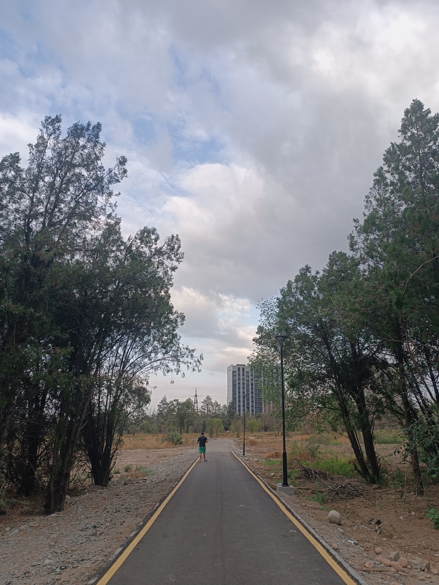 The image depicts a paved pathway with a yellow line marking the edge, situated in a semi-developed area. Two large evergreen trees frame the left and right sides of the pathway, their branches reaching towards a cloudy sky. In the distance, a tall, modern building with numerous windows stands prominently, suggesting an urban or suburban setting. A lone person, wearing a dark t-shirt and green shorts, is walking away from the camera down the pathway. The ground beside the path is covered with gravel and dry vegetation, indicating a natural or uncultivated landscape. Lampposts are visible along the pathway. The overall scene suggests a park or recreational area undergoing development, possibly located on the outskirts of Bishkek City, Kyrgyzstan.