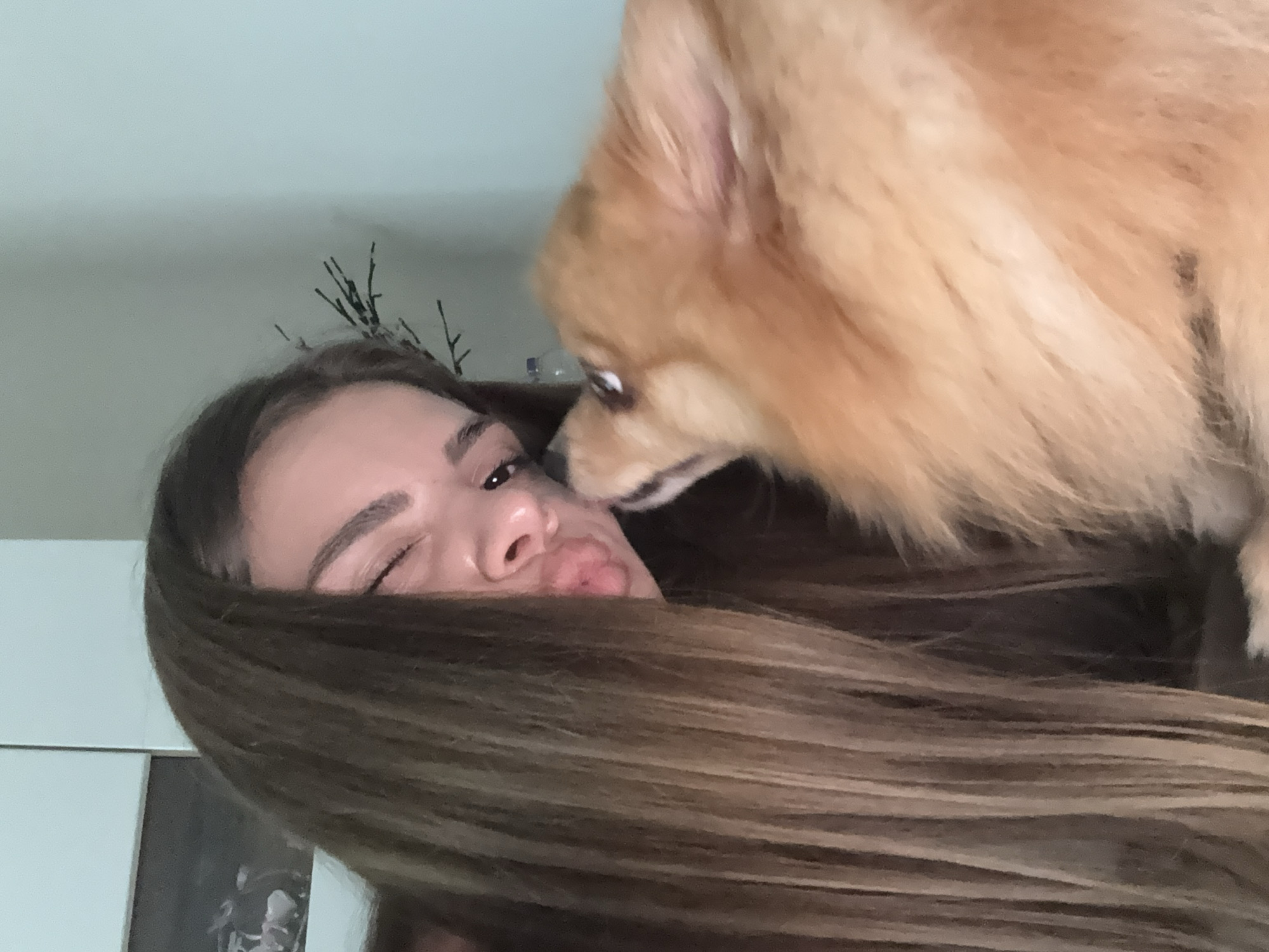 A close-up indoor photograph depicts a young female and a small dog engaged in an affectionate interaction. The female, positioned on the left, has long, straight, brown hair that partially covers her face. She is winking her right eye and puckering her lips in a "kiss face" gesture, directed towards the dog. Her left eye is visible and open. The dog, a fluffy, reddish-orange breed resembling a Pomeranian, is positioned on the right, facing the female. Its head is tilted slightly upwards, and its eyes are looking towards the female's face. Their faces are in close proximity.
The background consists of light-colored walls. On the upper left, a white or light grey structure, possibly a cabinet or wall panel, is visible. The remainder of the background is a plain light blue or light green wall. A sparse, dark-colored decorative plant or branch protrudes from behind the female's head on the right, against the light blue/green wall. A transparent plastic bottle is subtly visible in the mid-ground between the female and the dog. The location of the scene in the city of Plovdiv, Bulgaria, cannot be determined from the visual information provided.