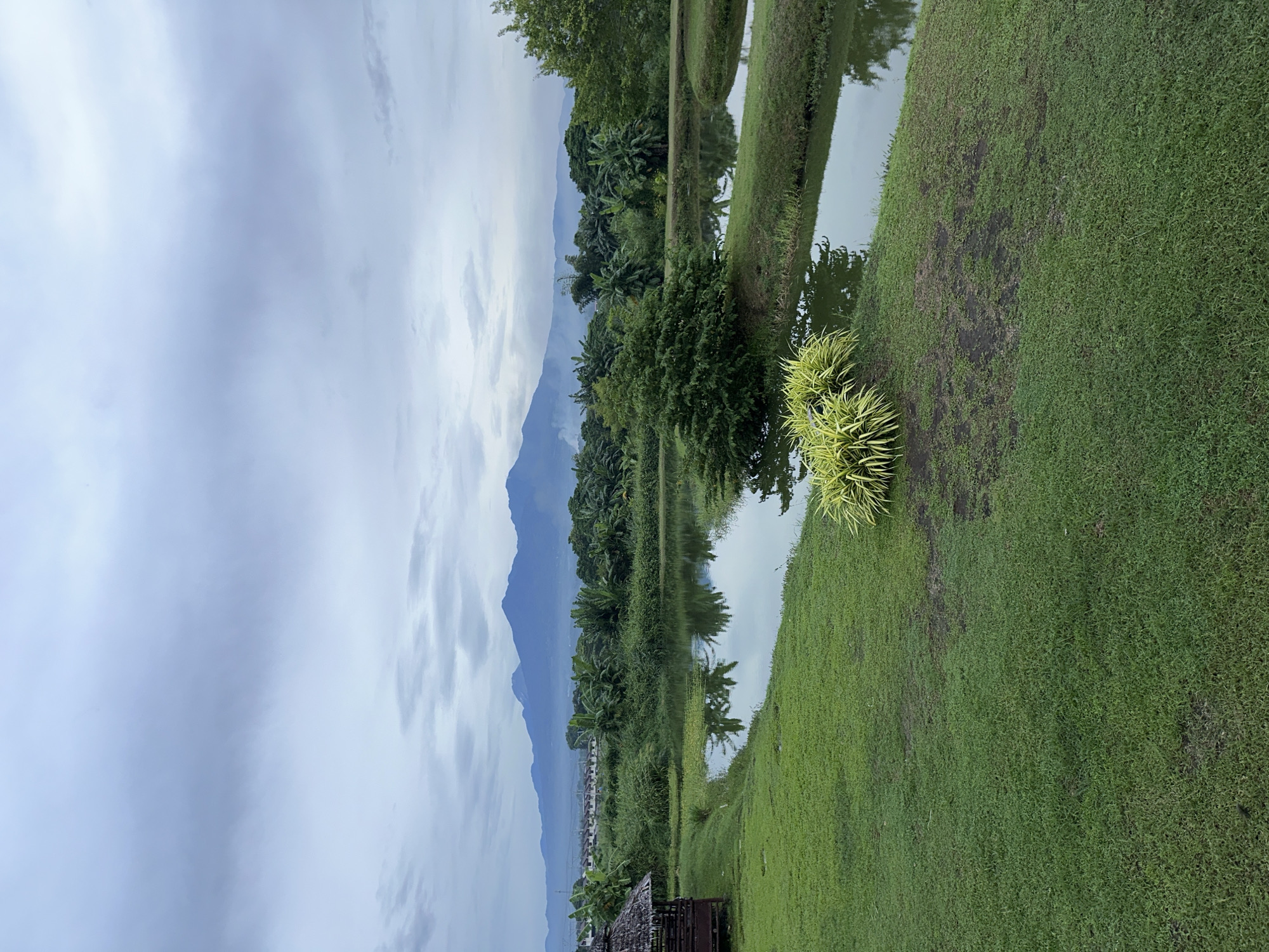 The image depicts a serene landscape with a pond in the foreground, lush green grass, and a backdrop of mountains under a cloudy sky. On the left side of the image, a small, rustic hut with a thatched roof is visible, bordering a well-maintained grassy area. The pond reflects the surrounding trees and the overcast sky. Beyond the pond, a dense arrangement of tropical trees, including what appear to be banana trees, creates a vibrant green canopy. In the far distance, a row of houses can be seen nestled against the foothills of the majestic mountains. The overall impression is one of tranquility and natural beauty. This scene is consistent with many rural or semi-rural areas surrounding Davao City, Philippines, known for its proximity to mountains like Mount Apo and its tropical climate supporting abundant vegetation and bodies of water.